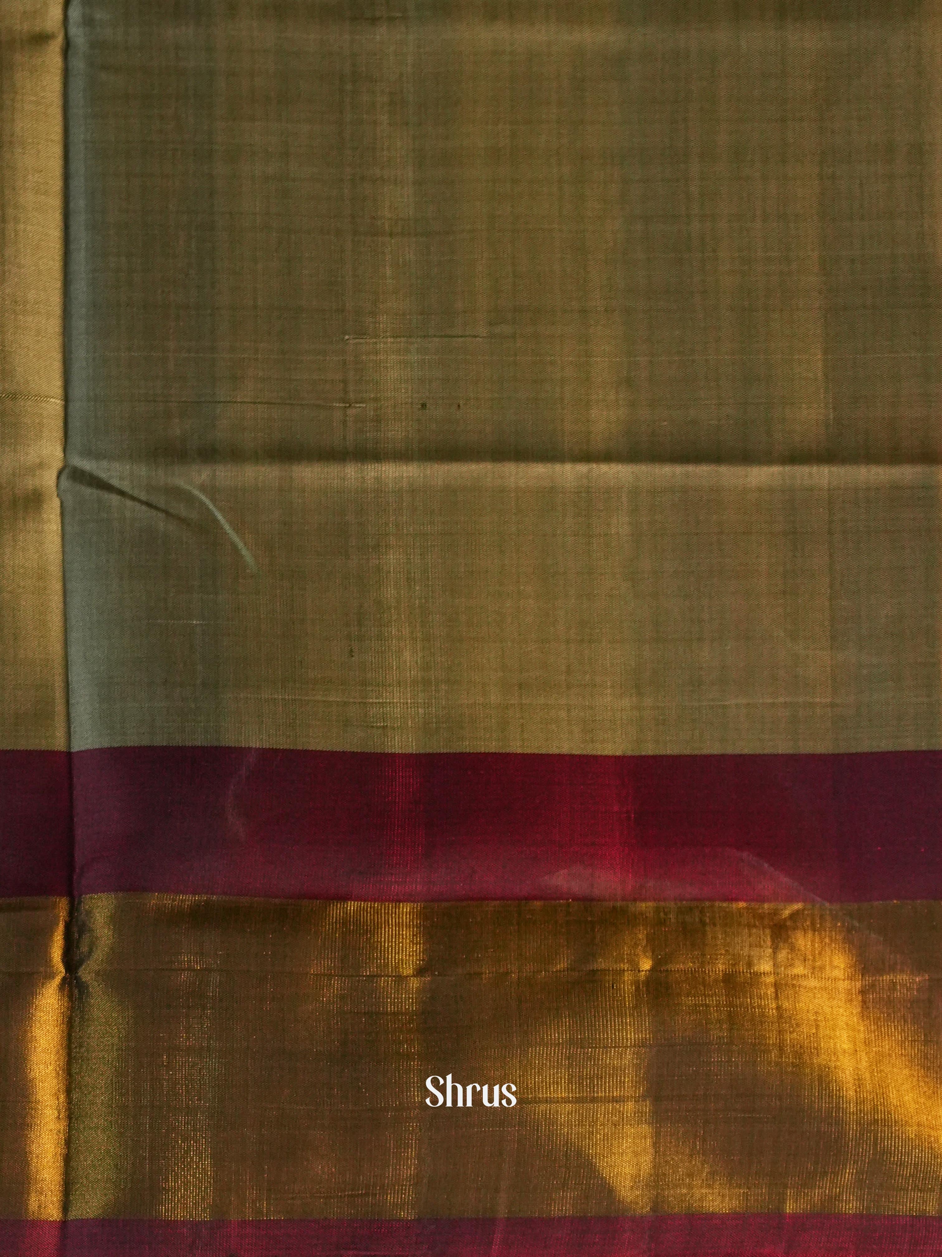 Cream & Black - Rajkot Patola Saree