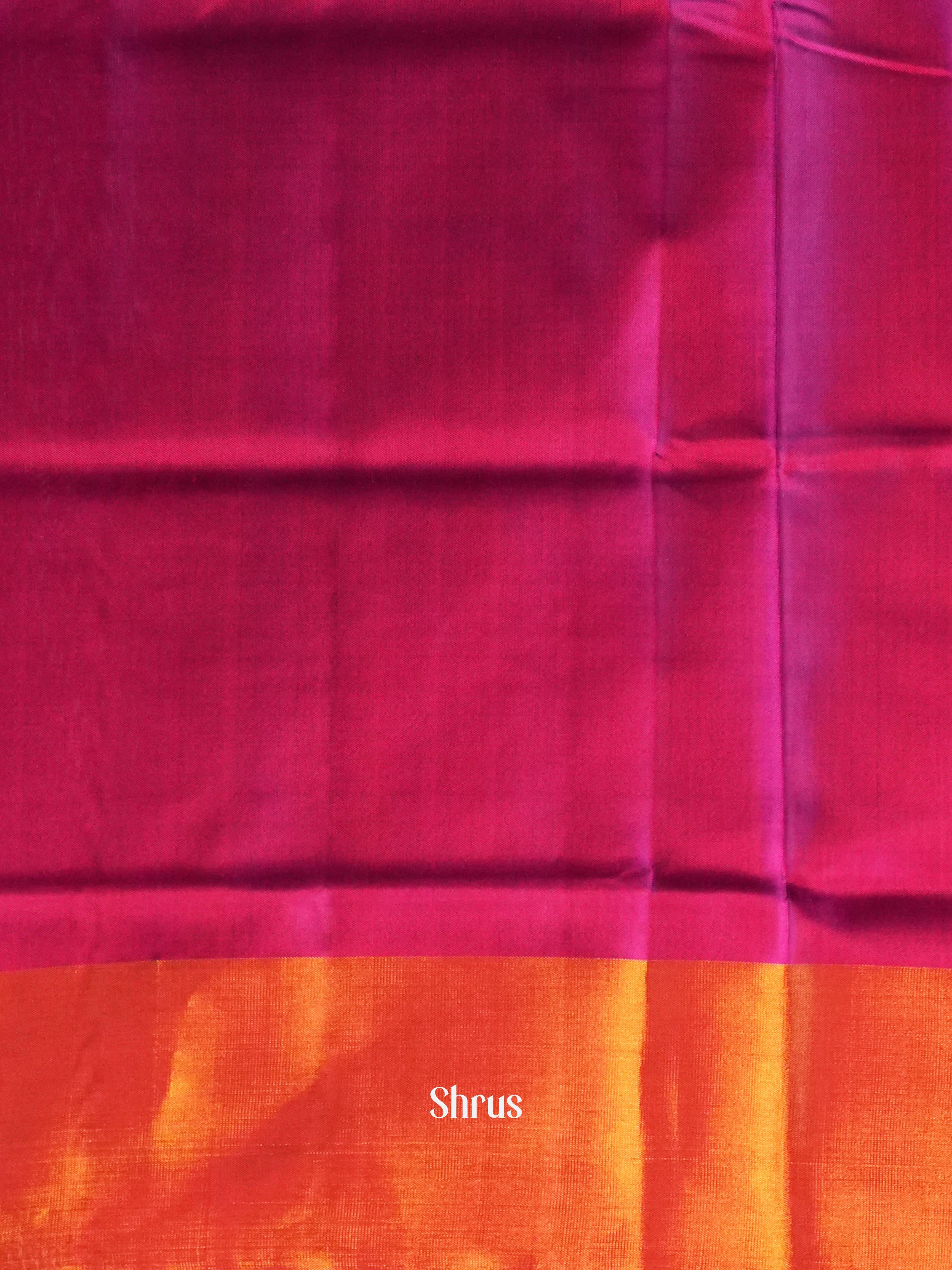 Violet & Purple- Rajkot Patola Saree