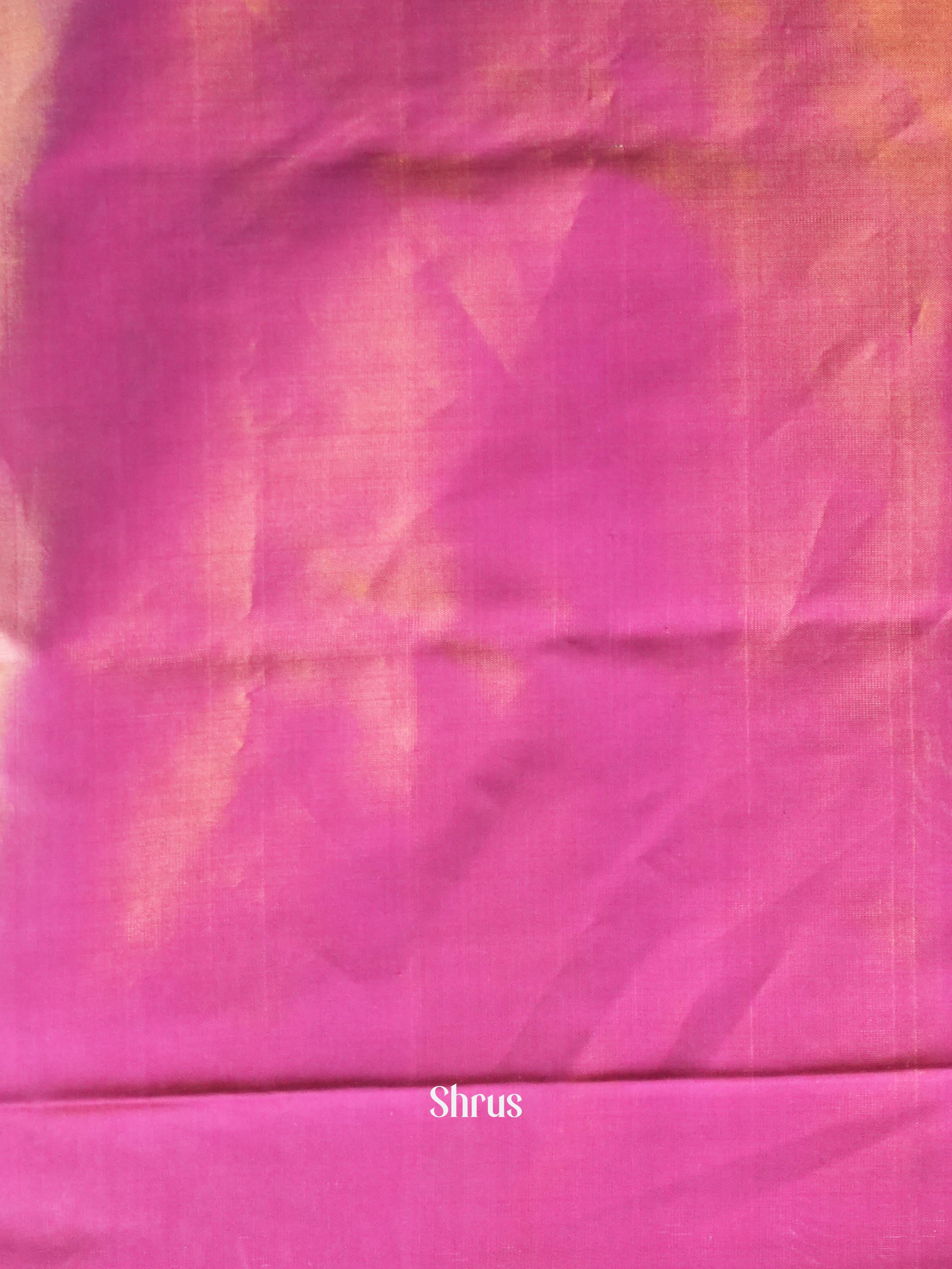 Lite Green & Pink  - Rajkot Patola Saree