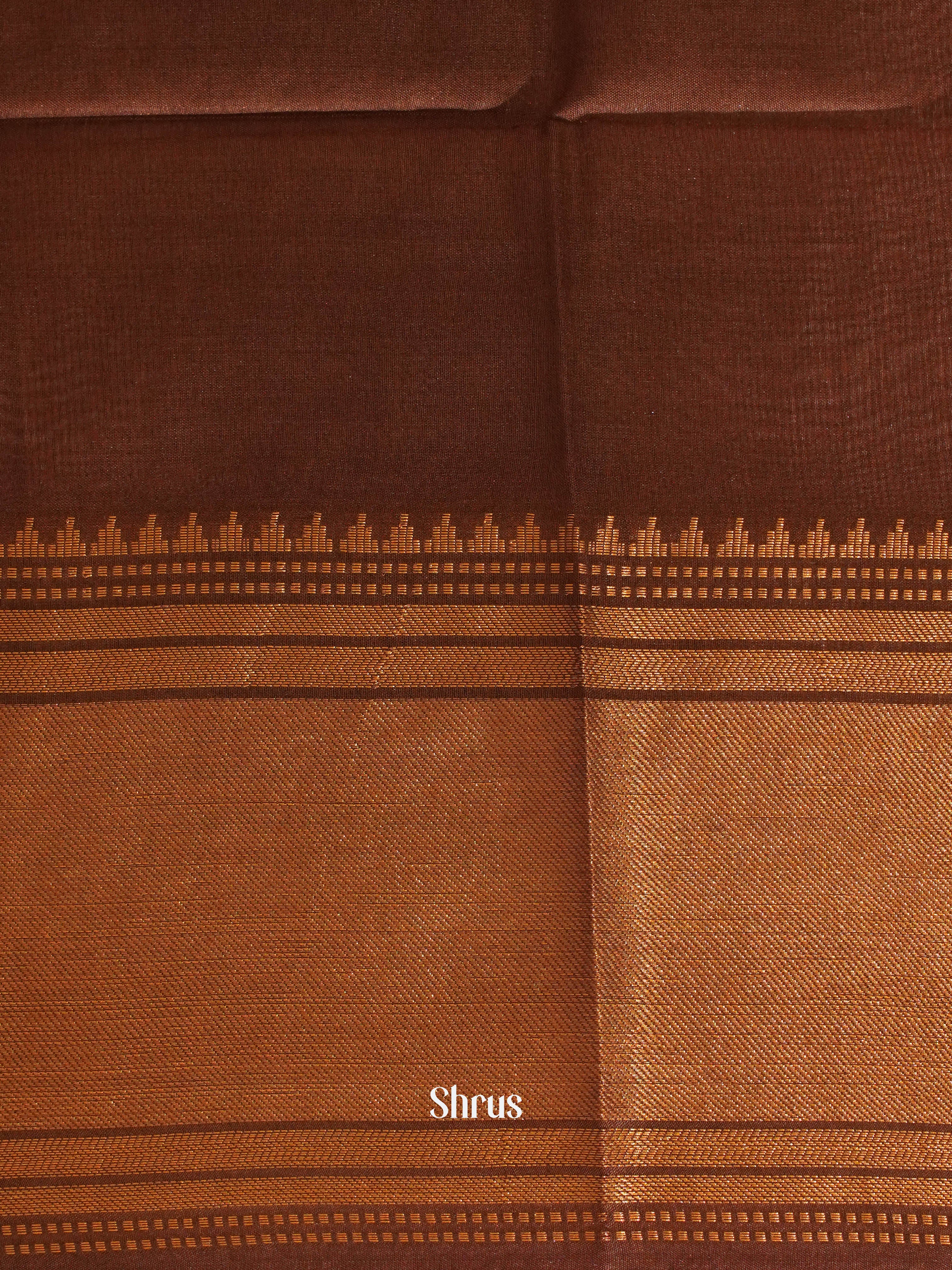 Beige & Brown- Semi Tussar Saree