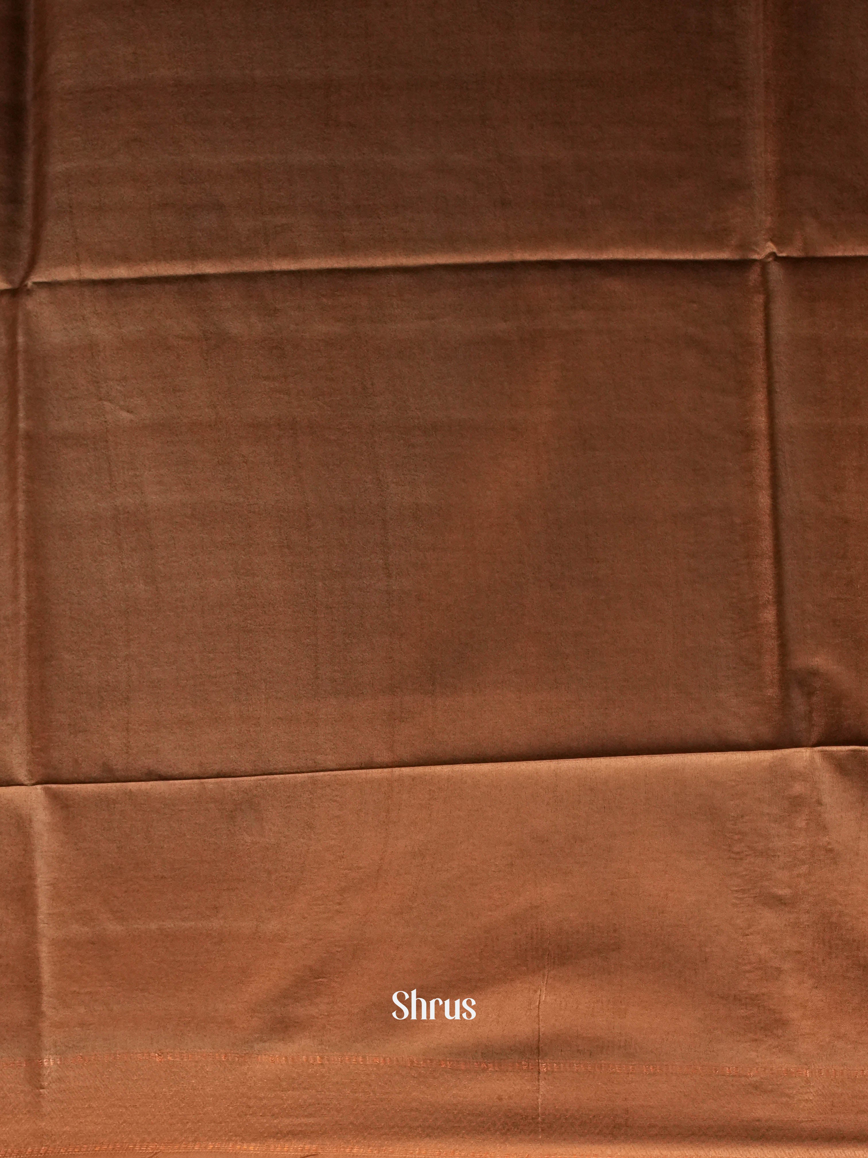 Brown - Semi Tussar Saree