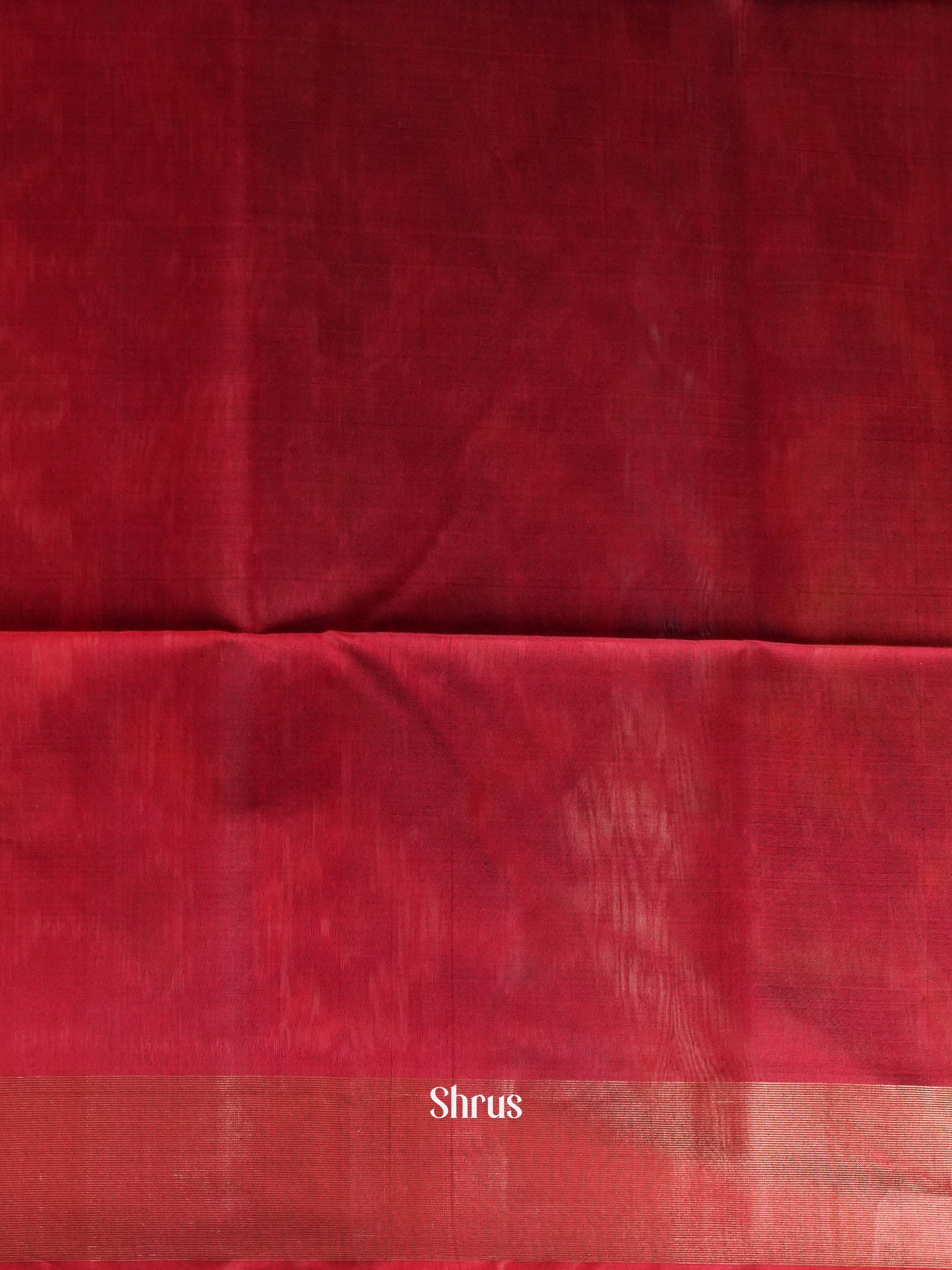 Olive Green & Red  - Pochampally sico Saree