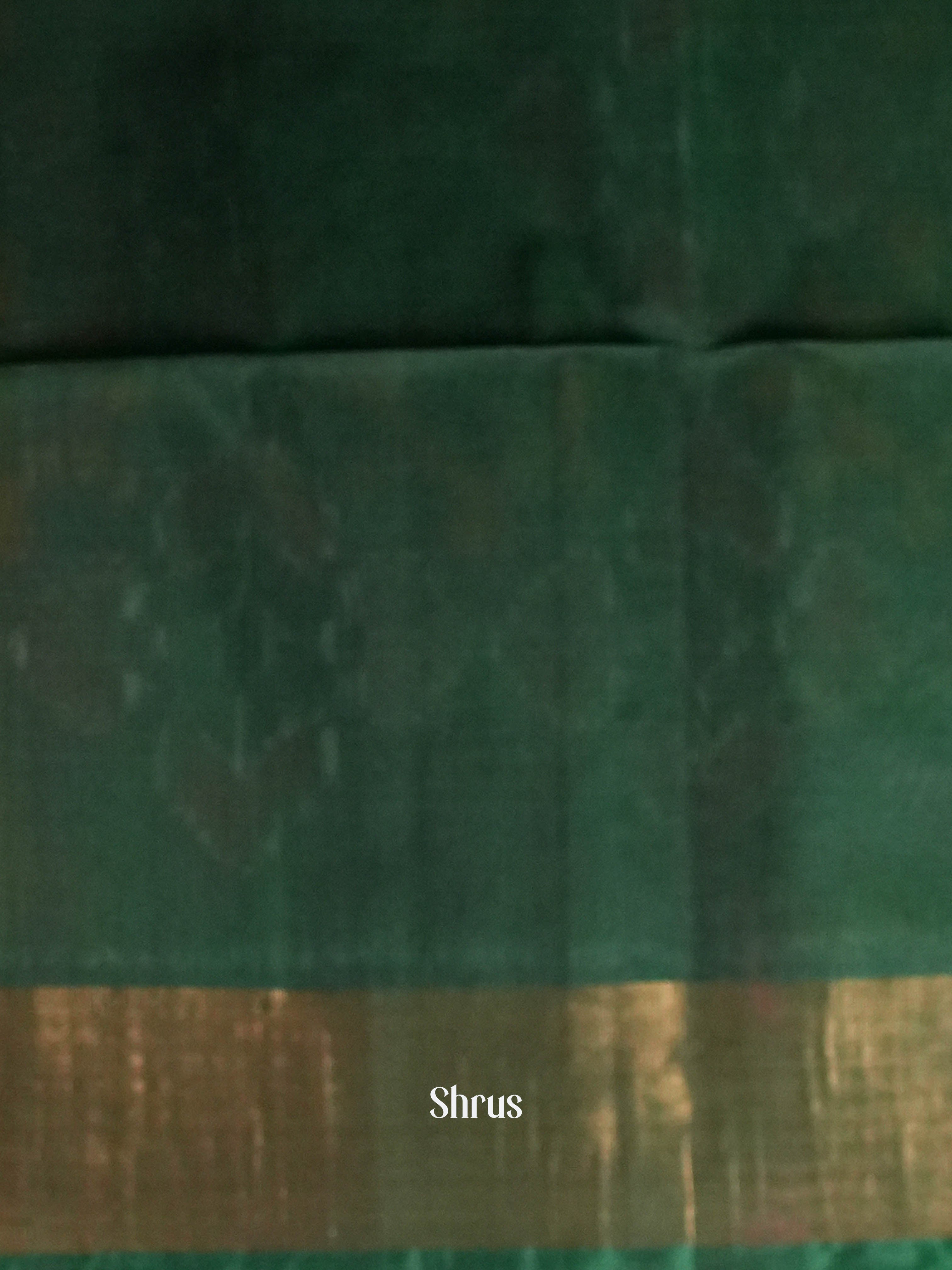 Shades Of Orange & Green  - Pochampally sico Saree