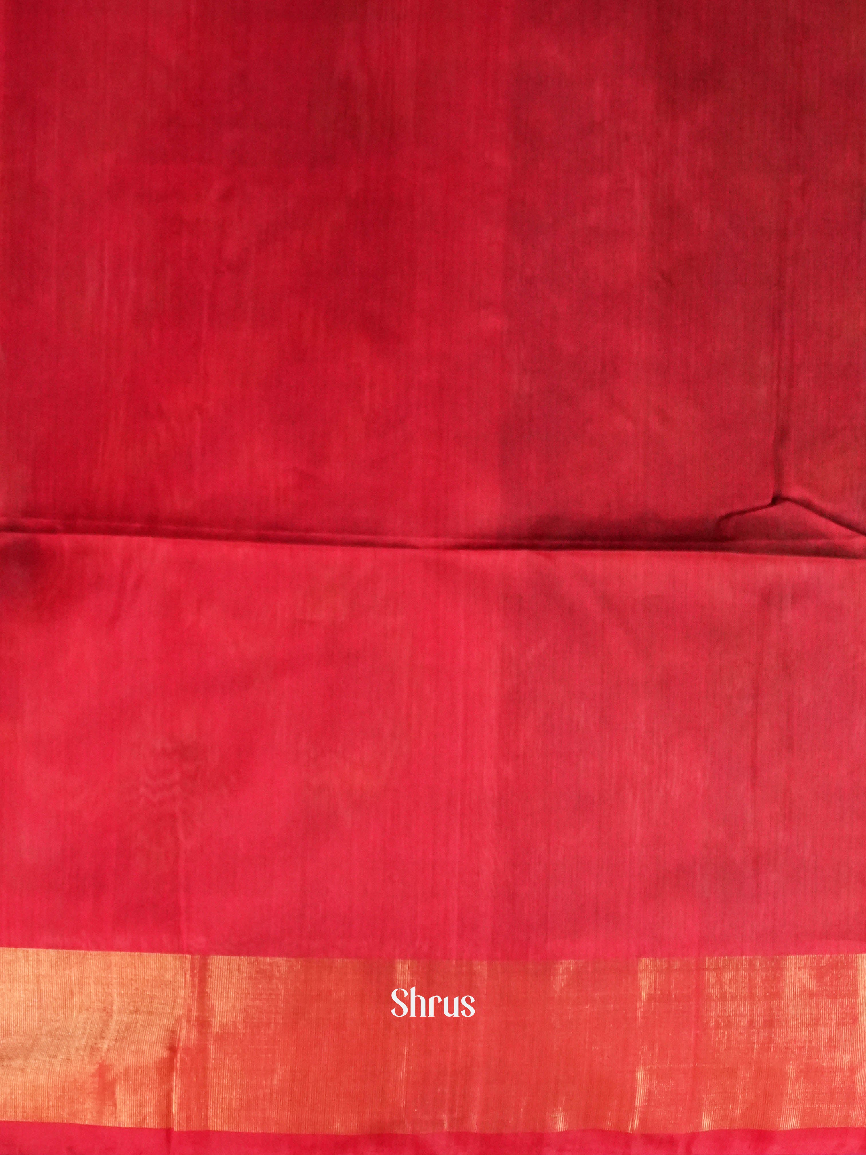 Green & Red  - Pochampally sico Saree