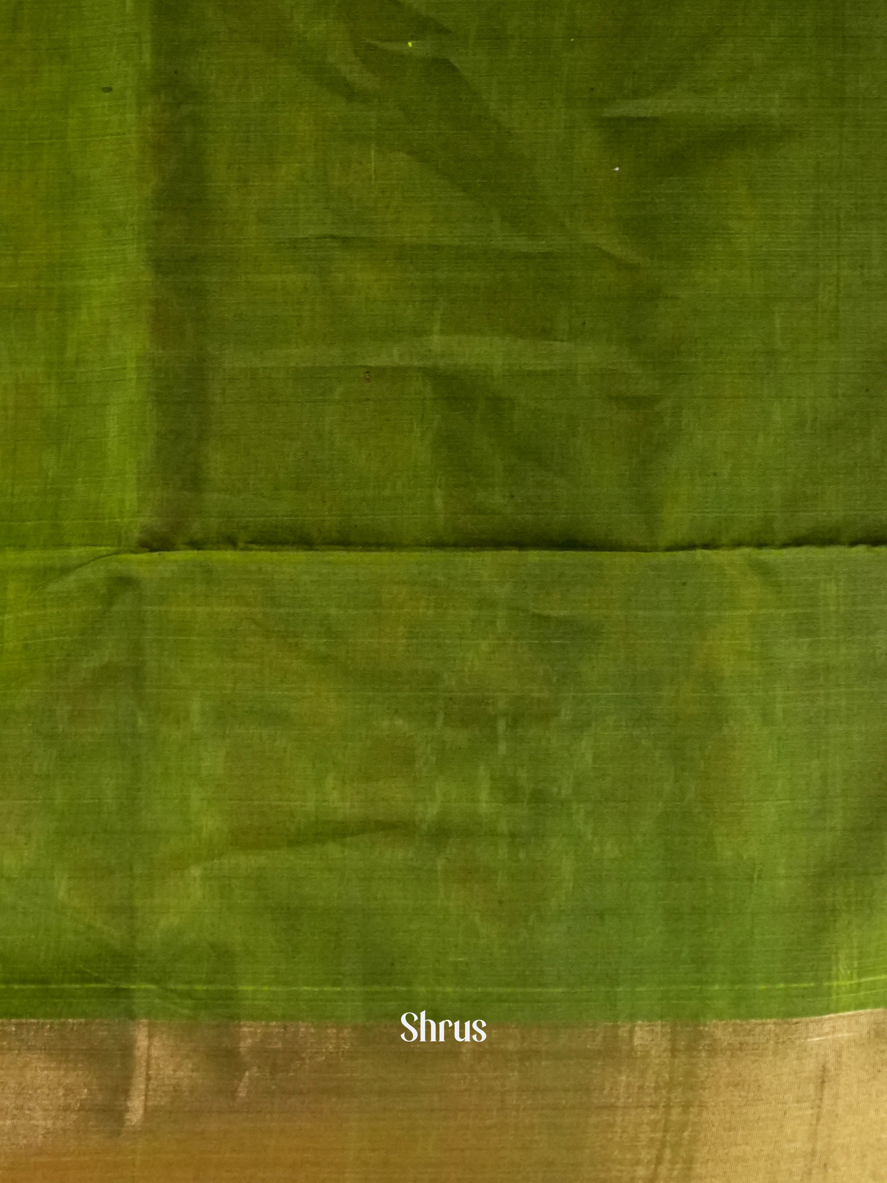 Green & Indigo  - Pochampally sico Saree