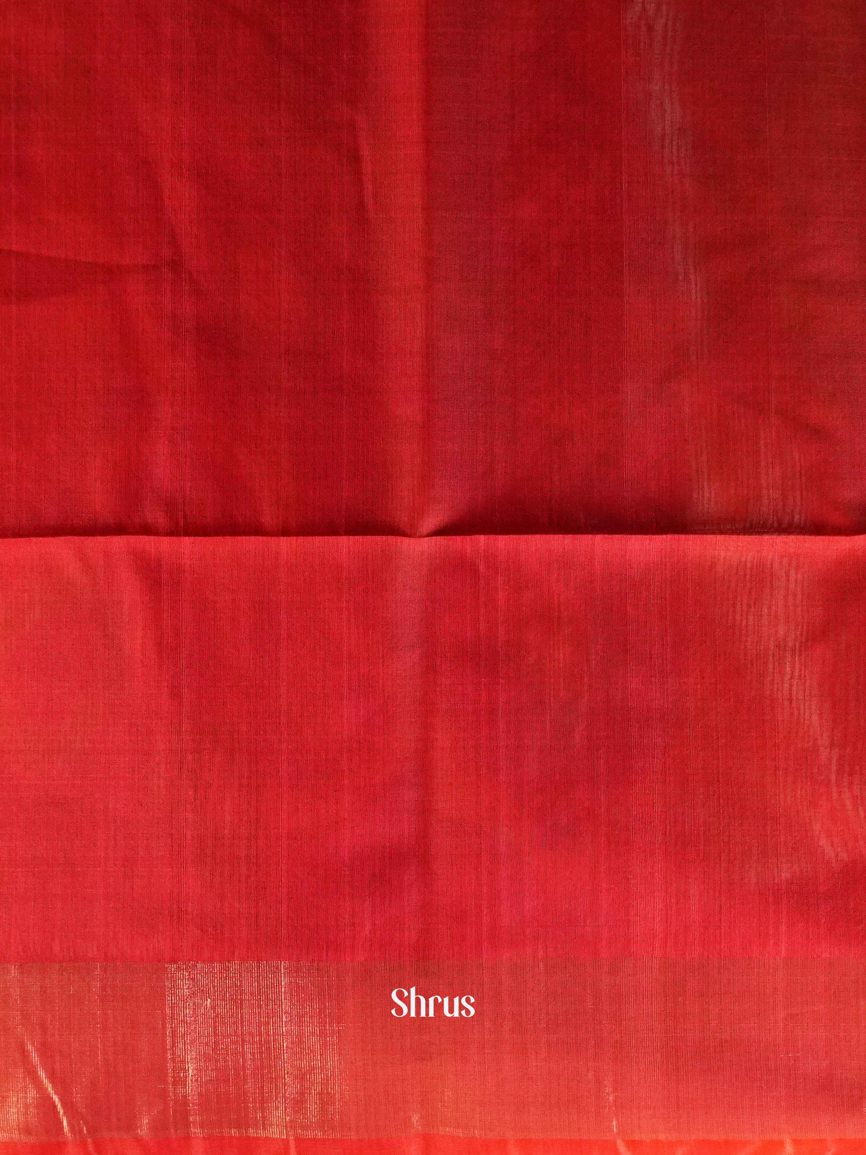 Greenish Blue & Red  - Pochampally sico Saree