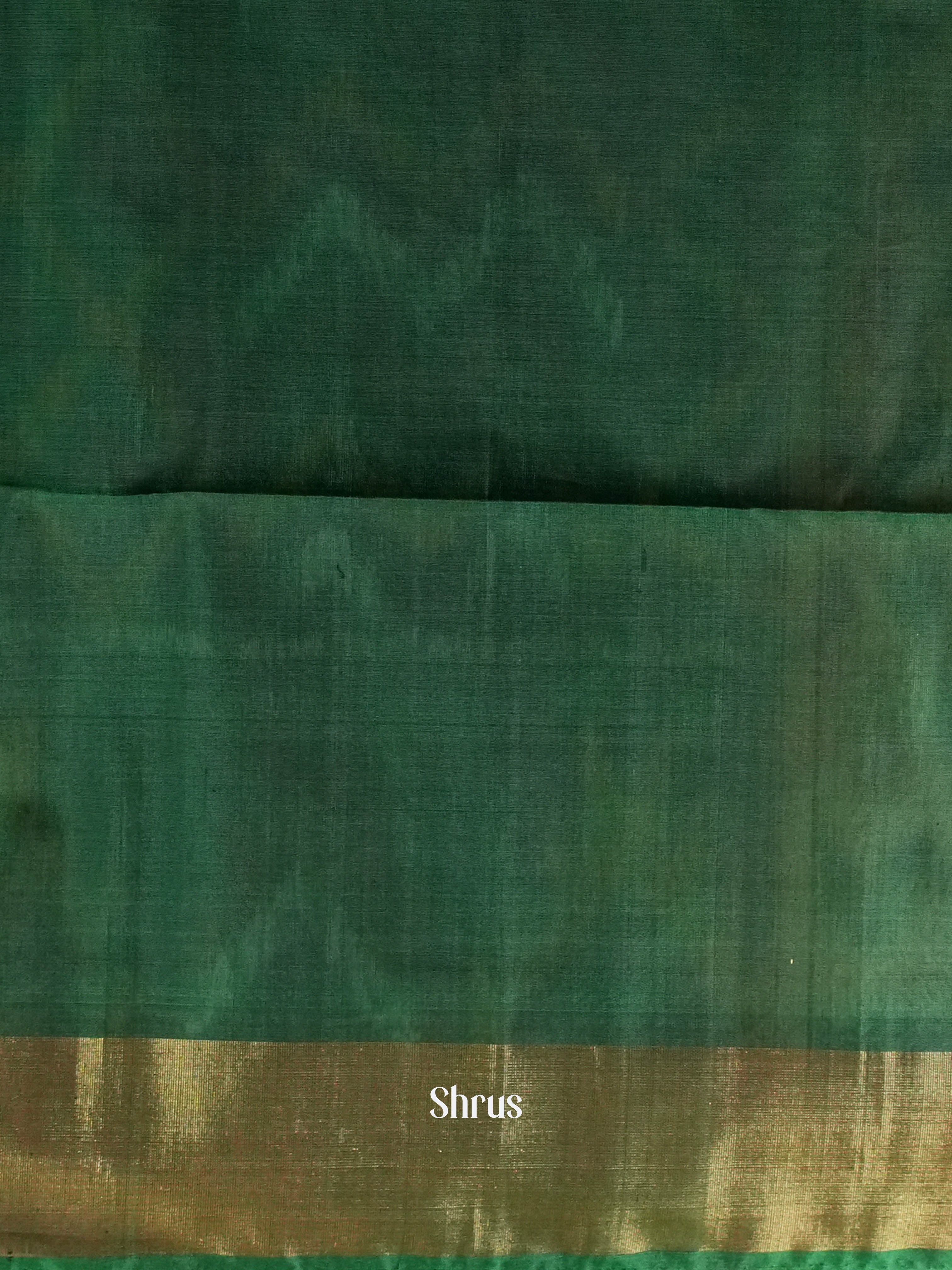 Cream & Green  - Pochampally sico Saree