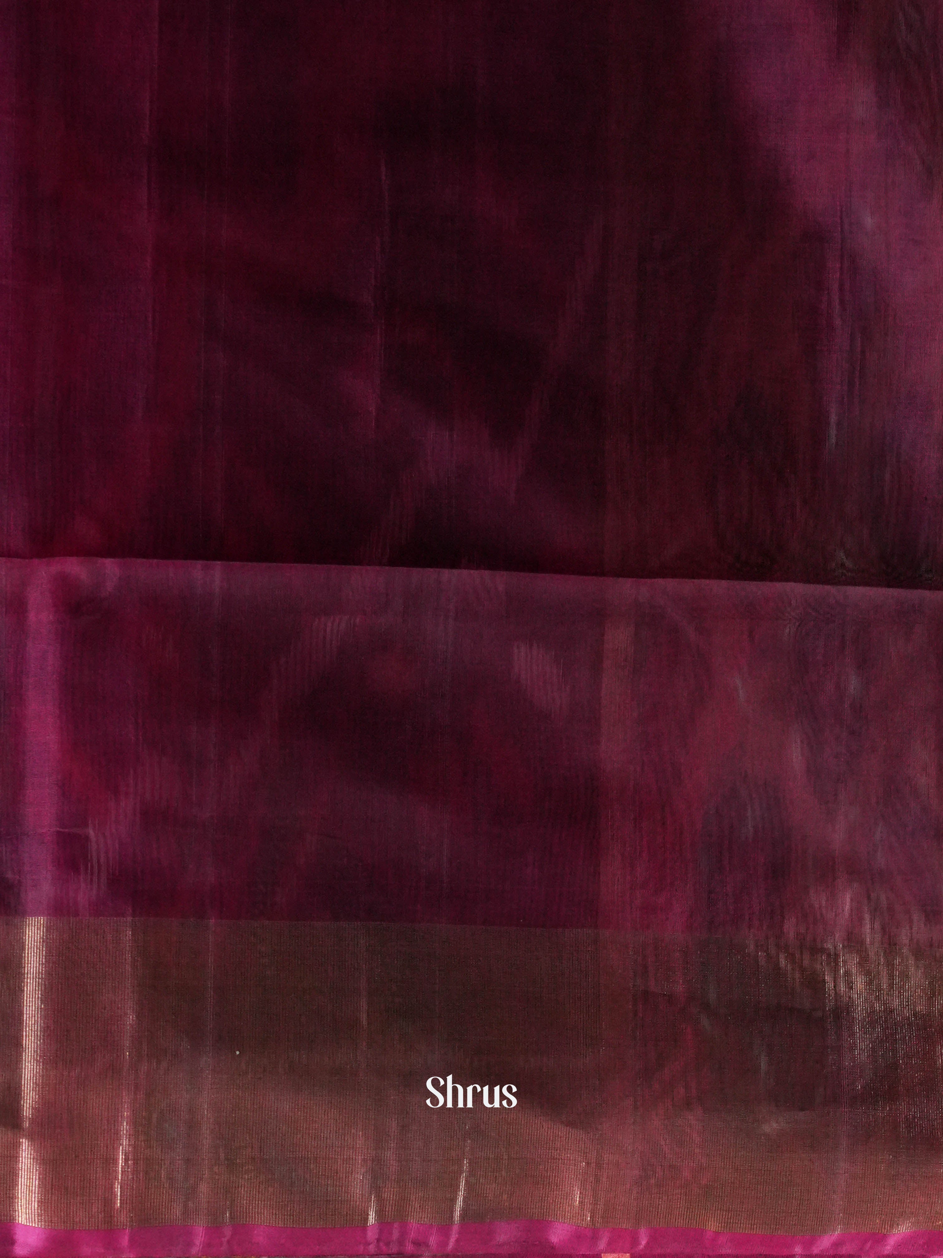 Majenta & Chocolate Brown   - Pochampally sico Saree