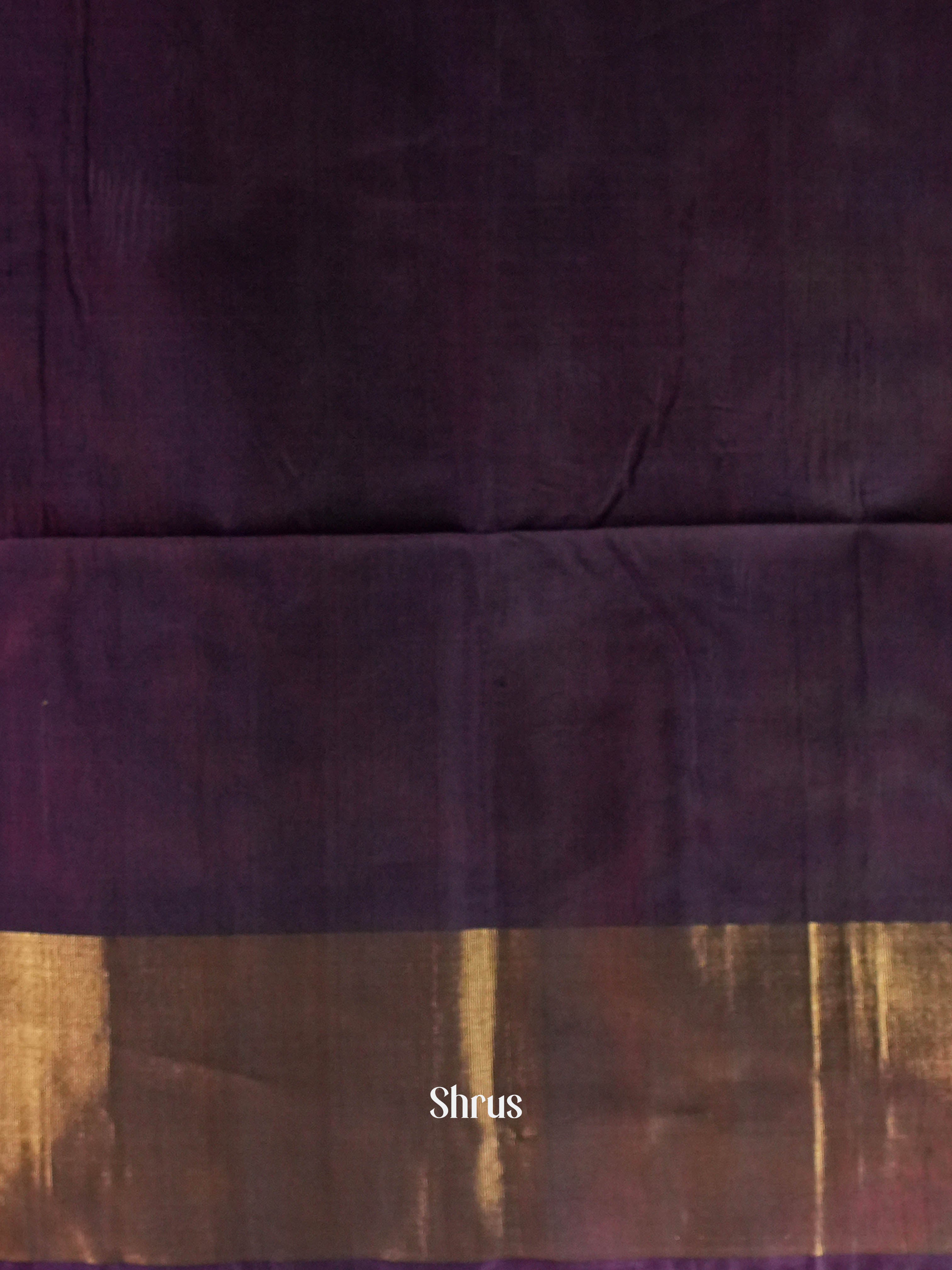 Orange & Indigo  - Pochampally sico Saree