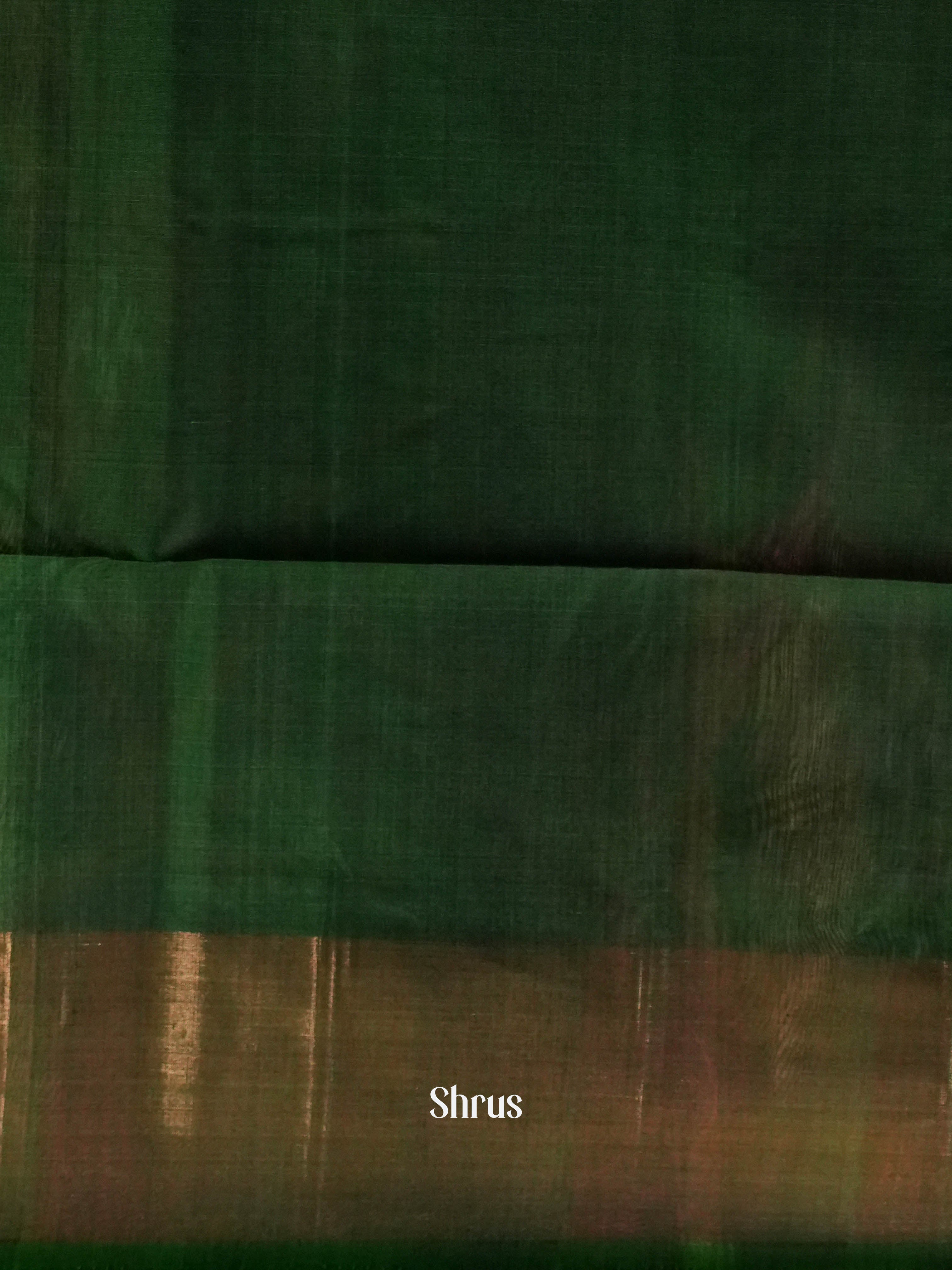 Rosy Pink & Green  - Pochampally sico Saree