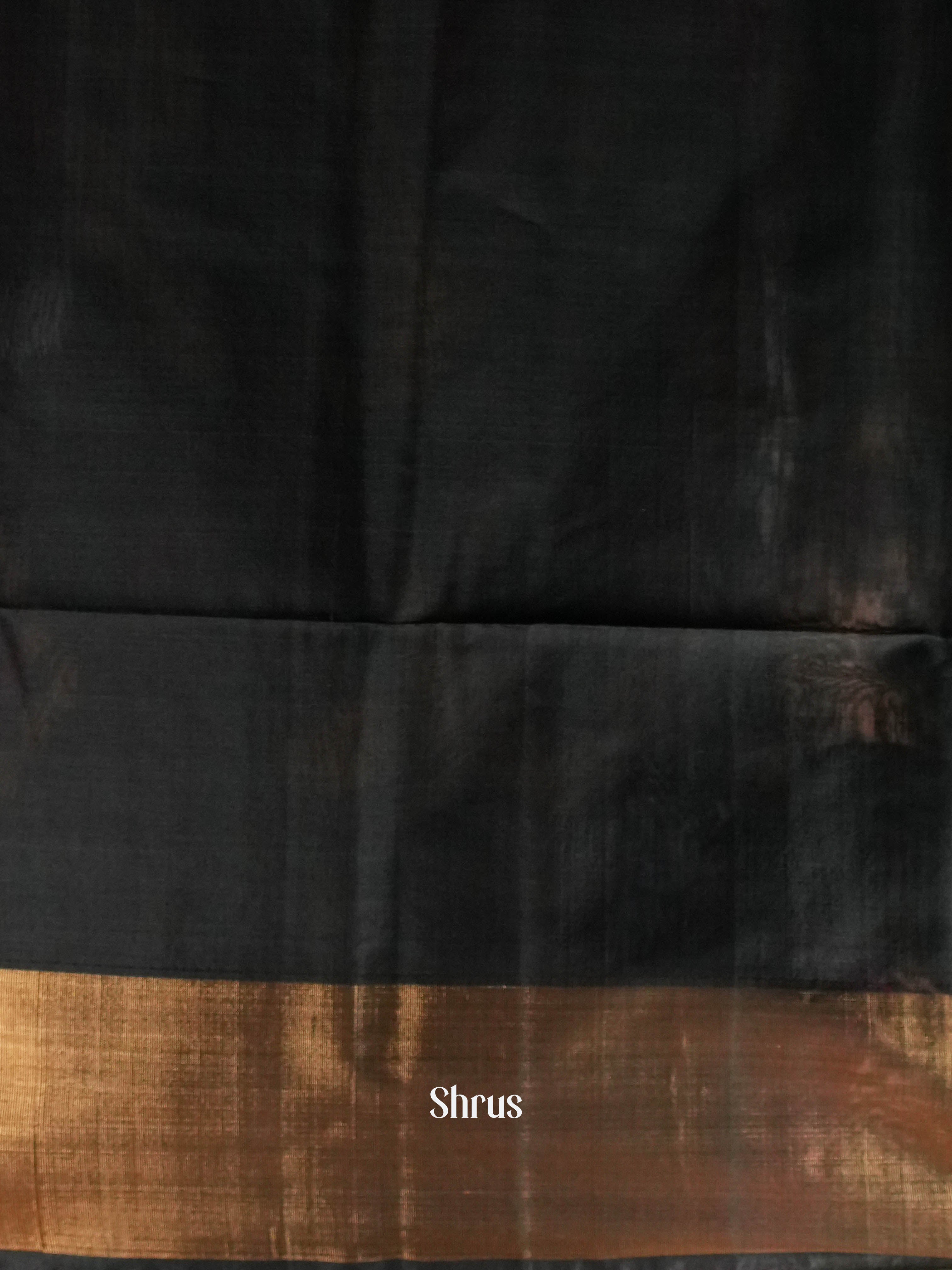 White & Black  - Pochampally sico Saree