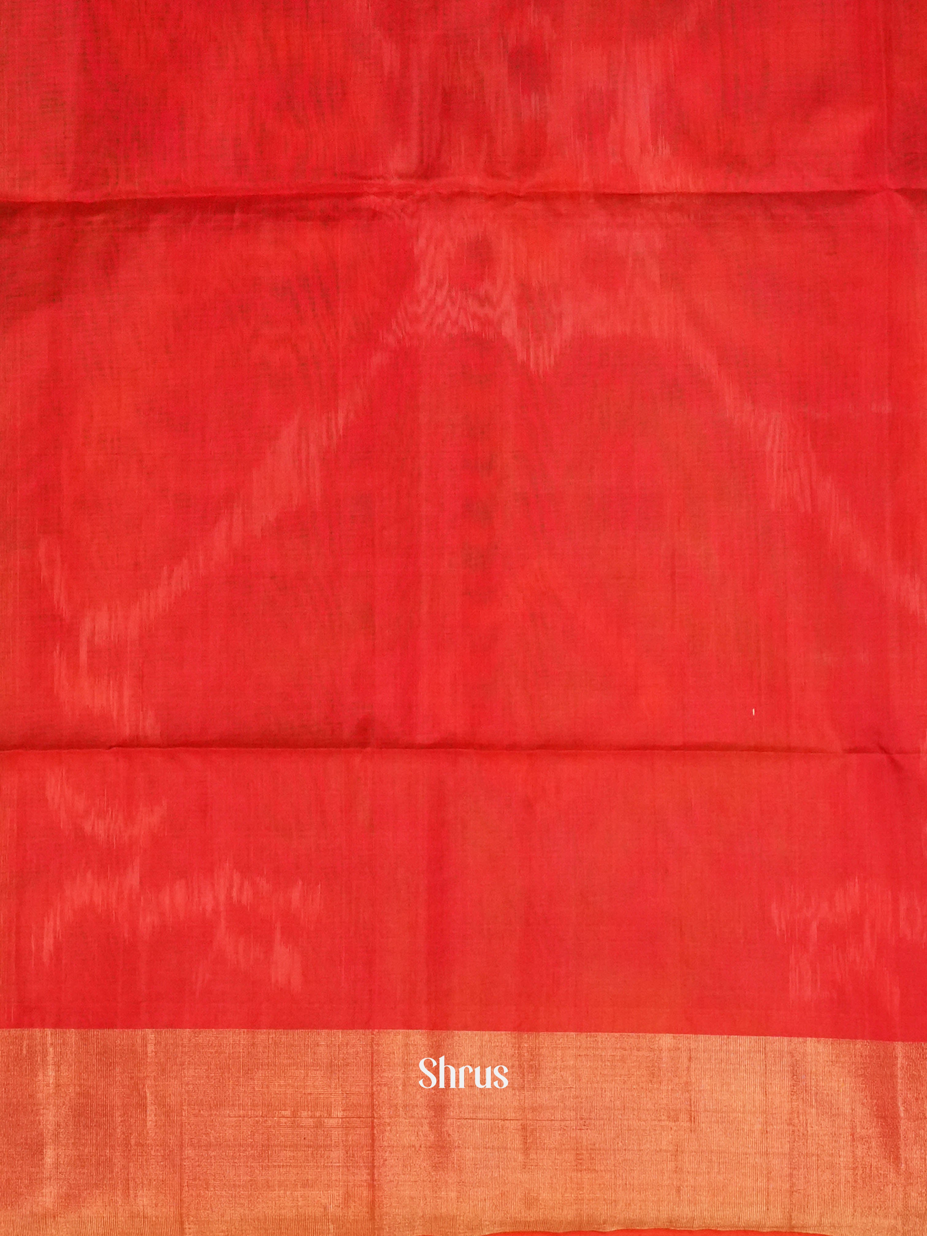 Aqua Blue & Red  - Pochampally sico Saree