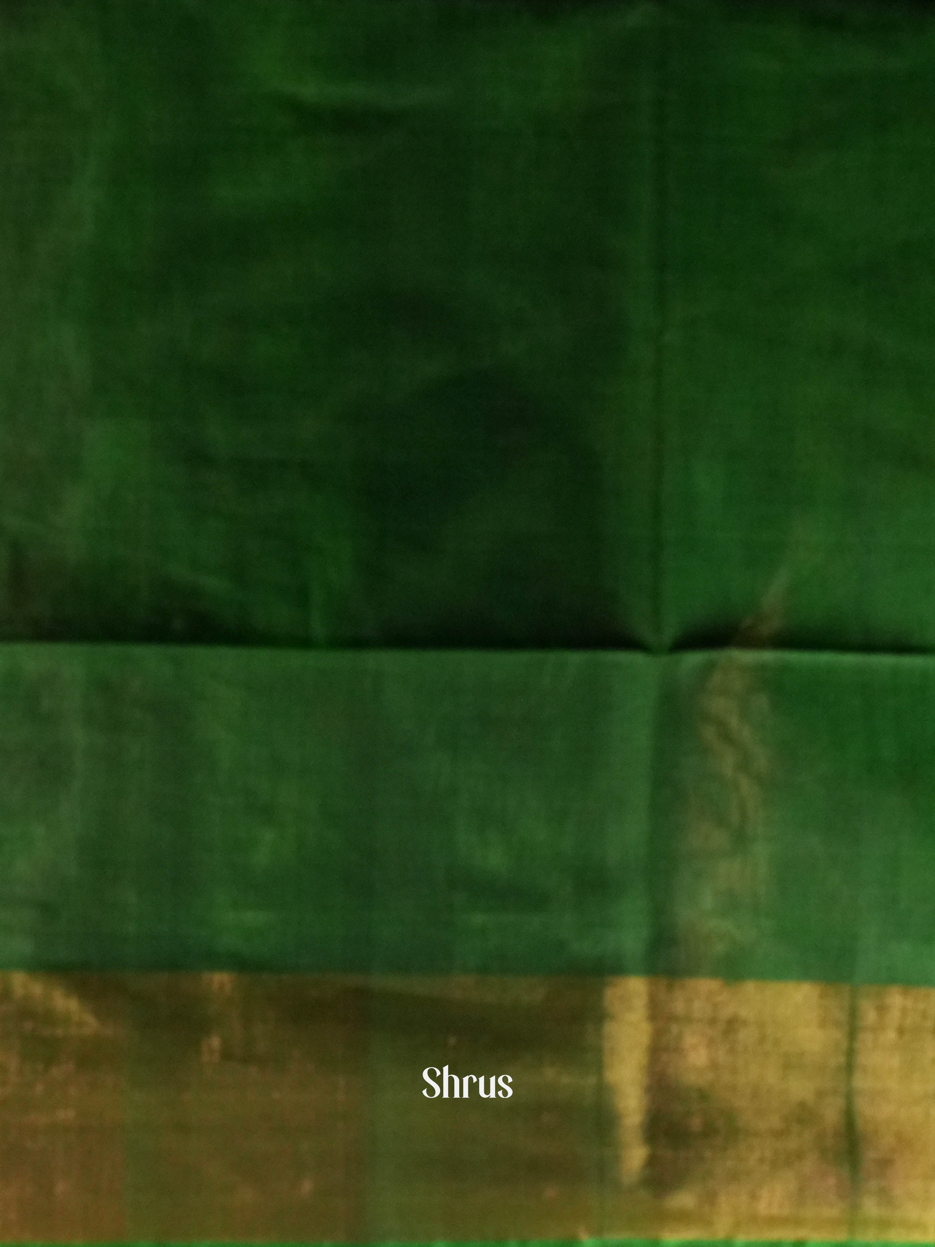 Grey & Green  - Pochampally sico Saree