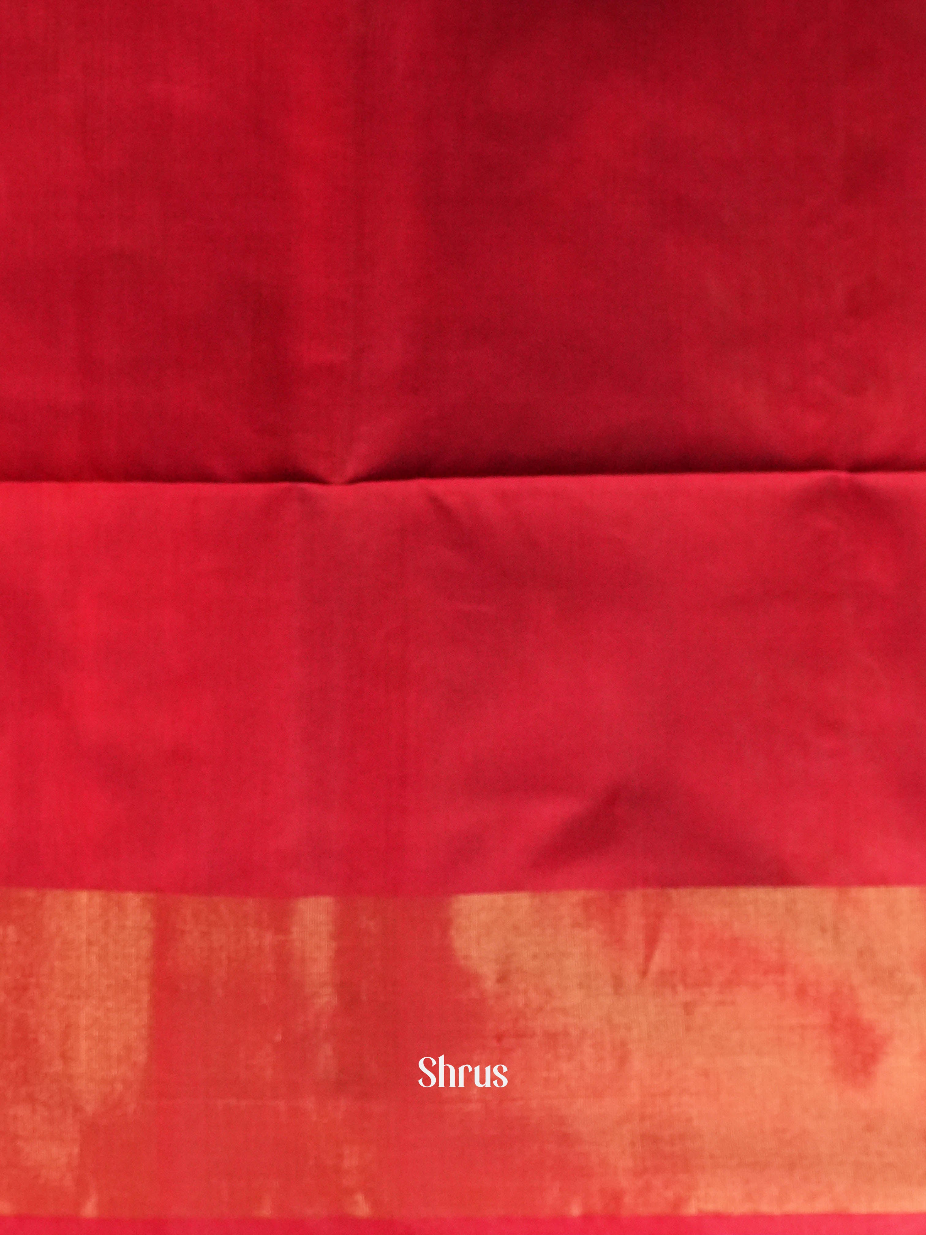 Grey & Red  - Pochampally sico Saree