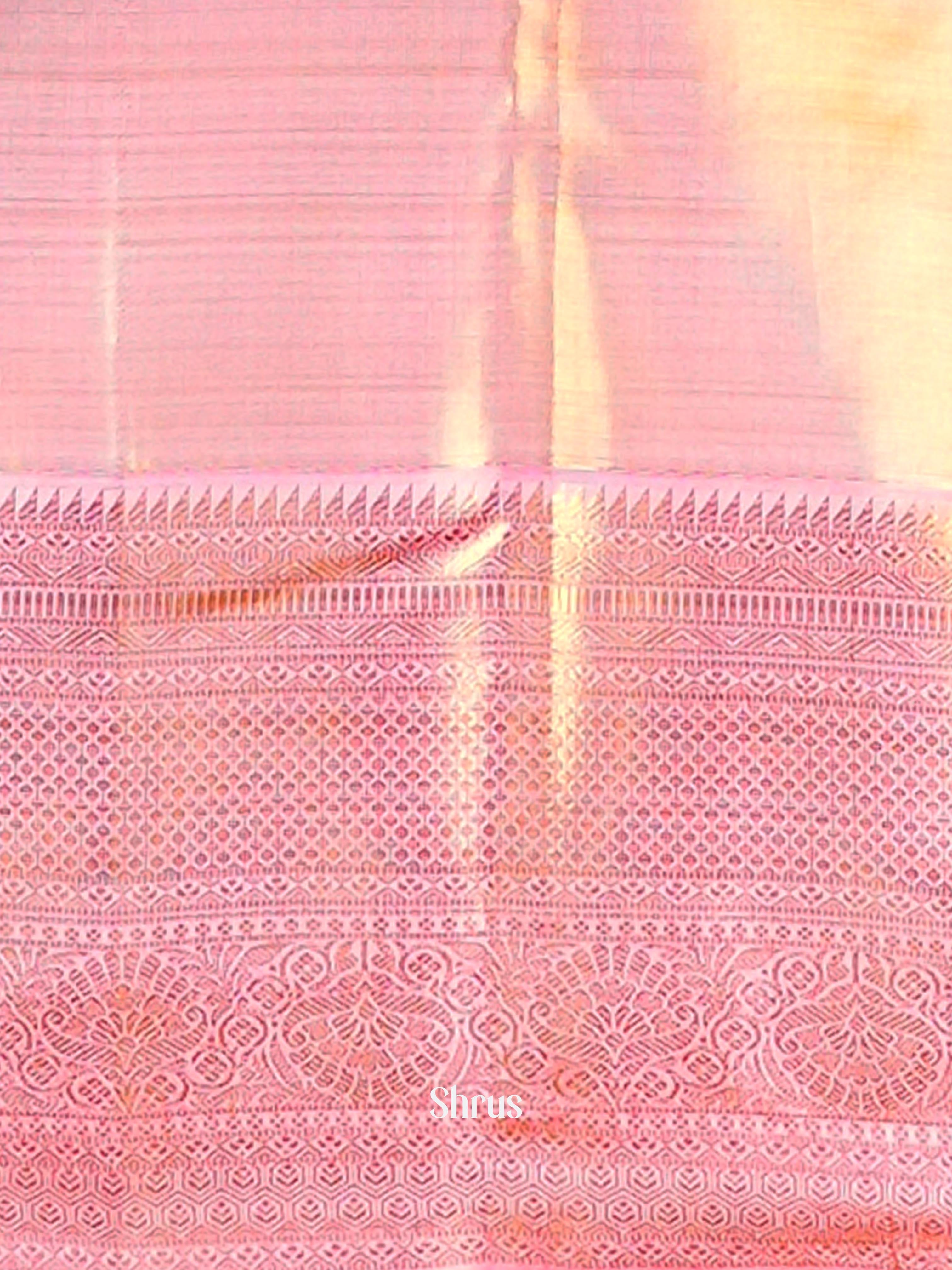 CIS04024 - Kanchipuram silk Saree