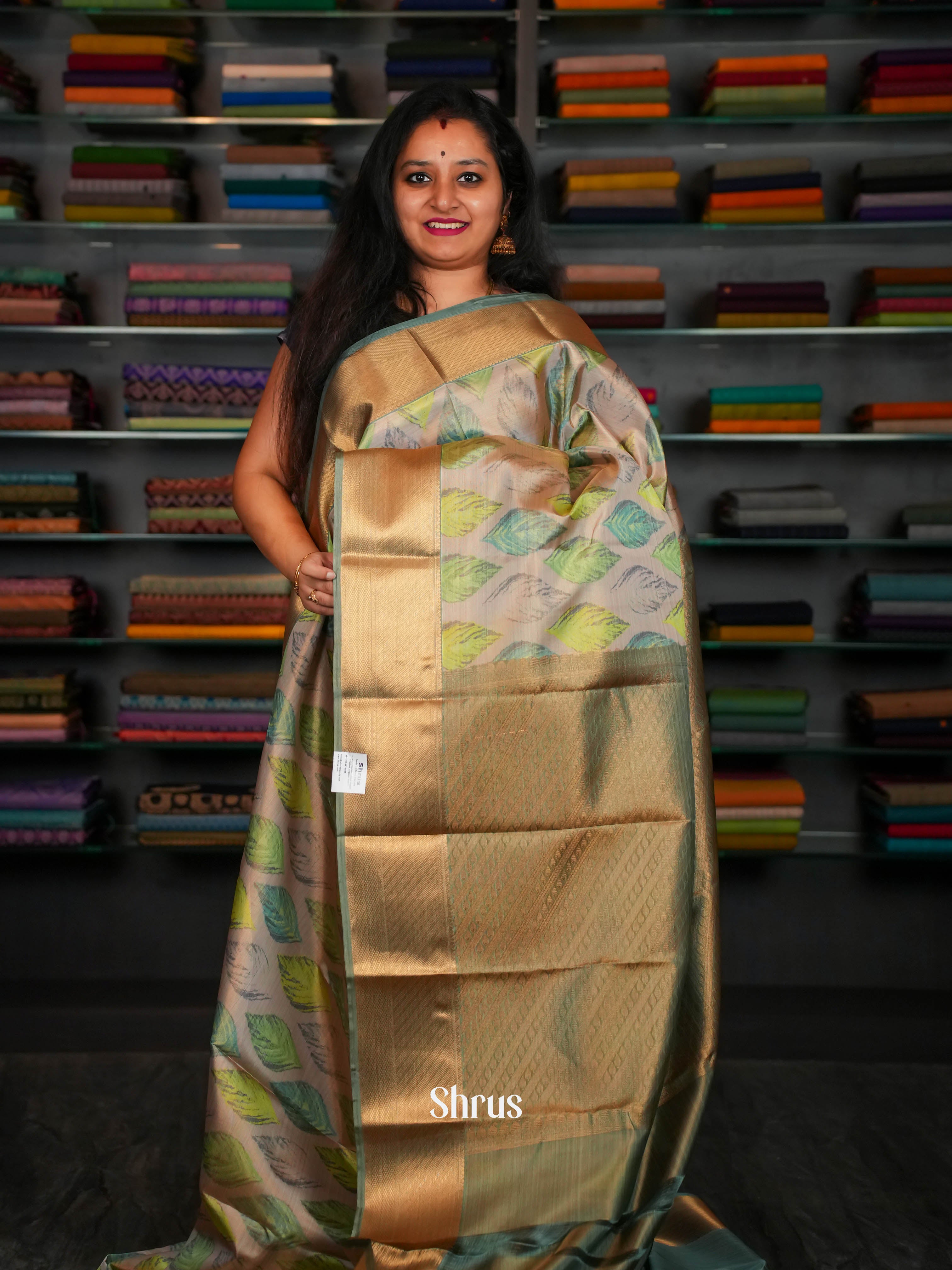 Grey & Green - Kanchipuram-halfpure Saree