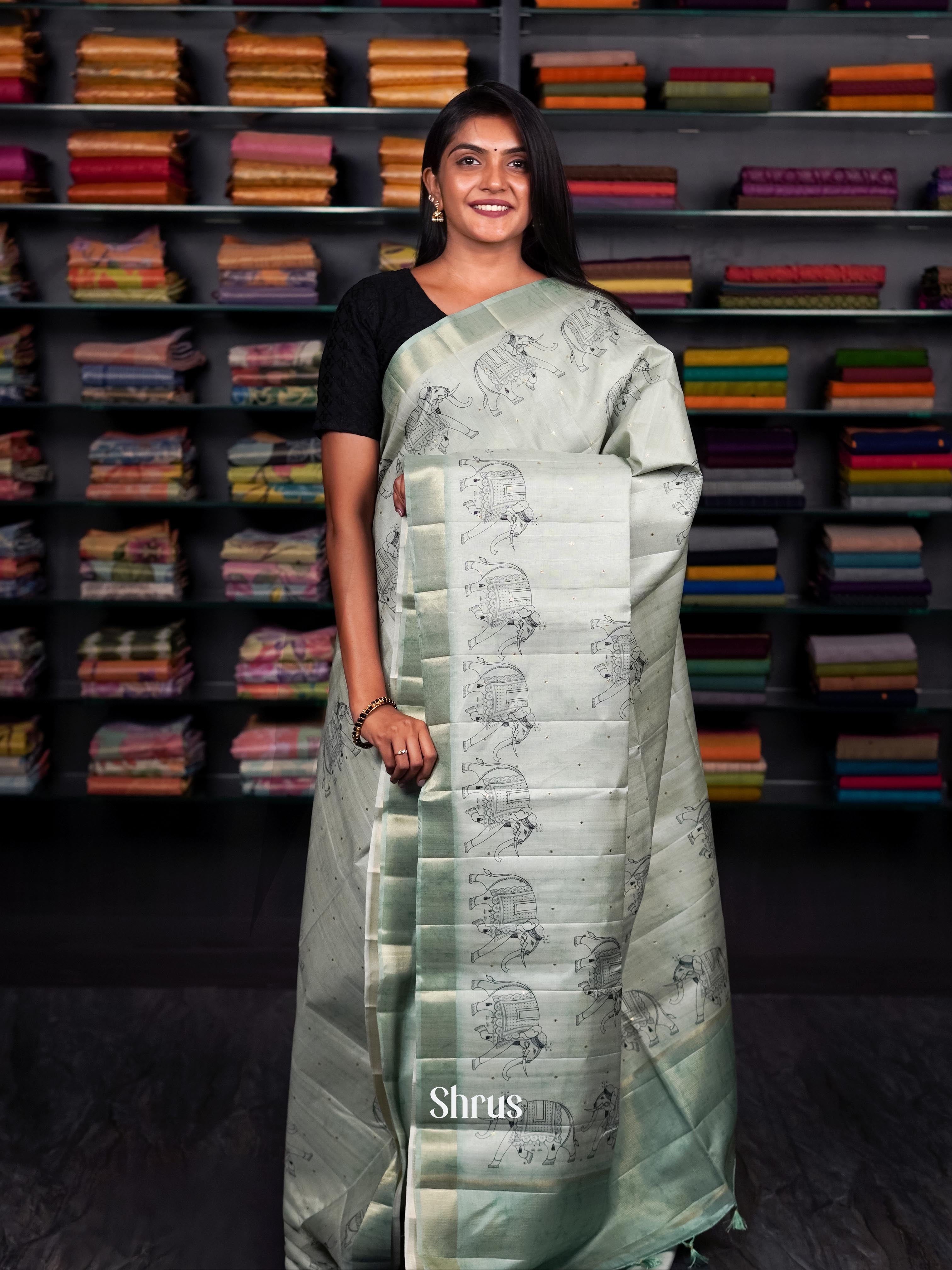 Light Pastel Green  - Moonga silk Saree