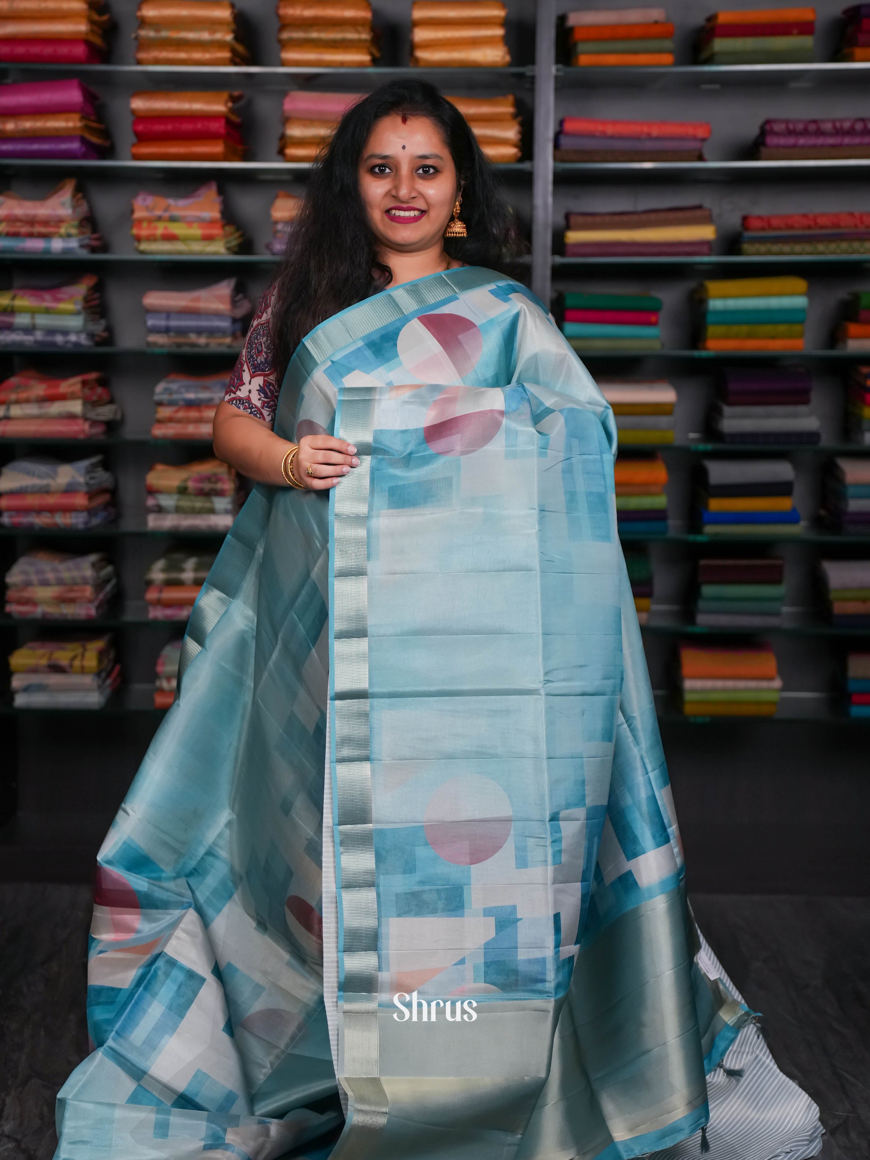 Blue - Moonga Silk Saree