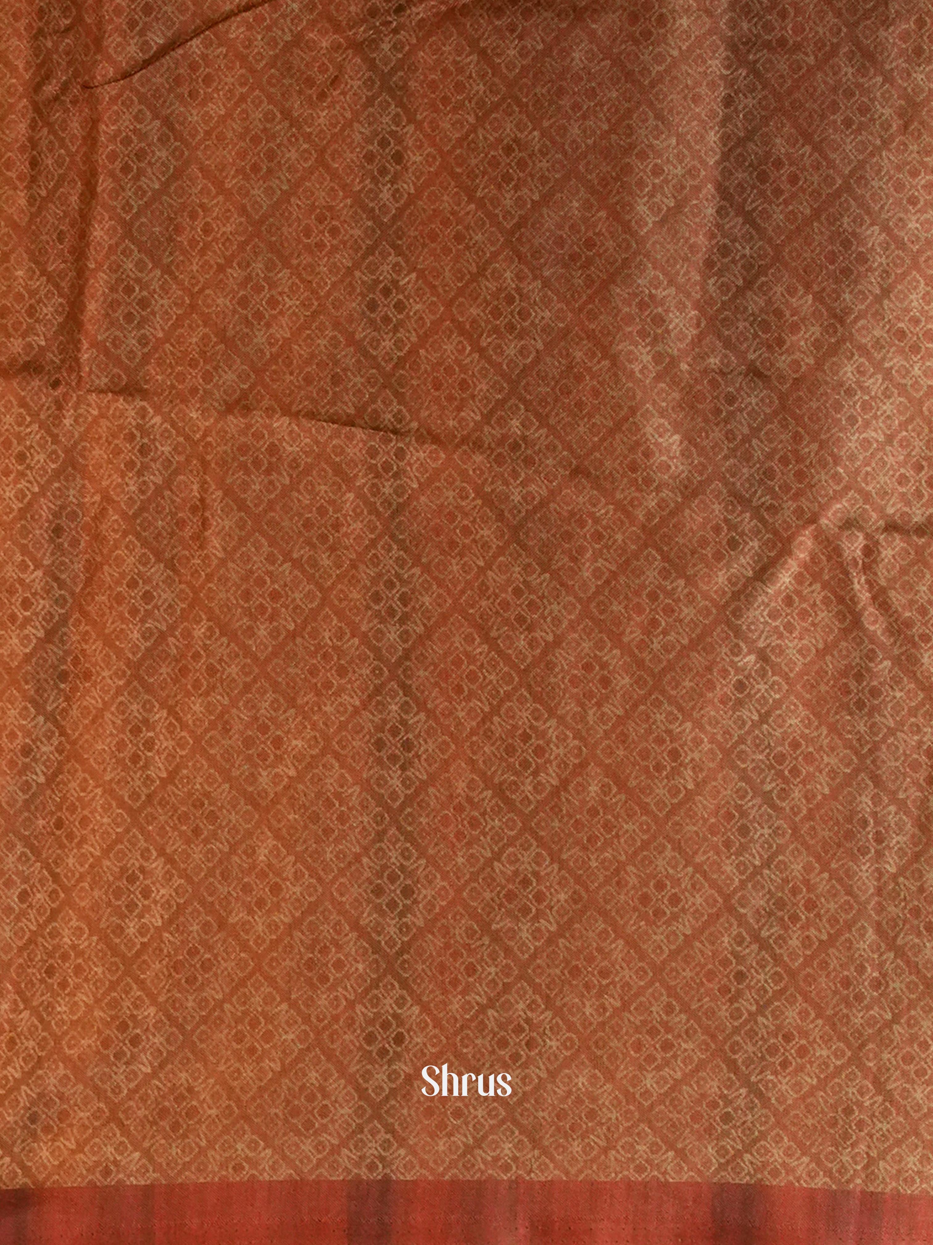 Cream & Brown  - Moonga Silk Saree