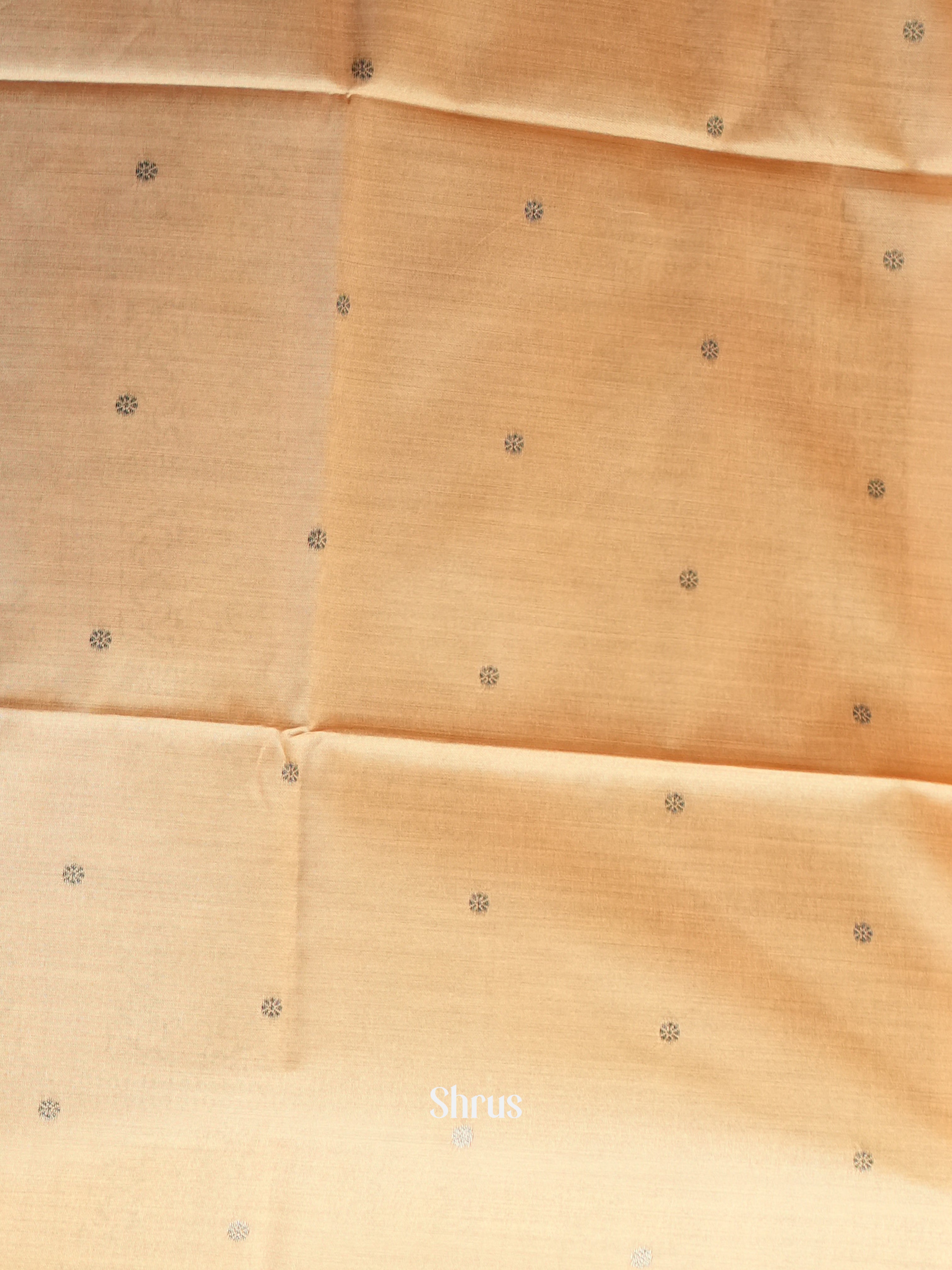 Peach - Semi Tussar Saree