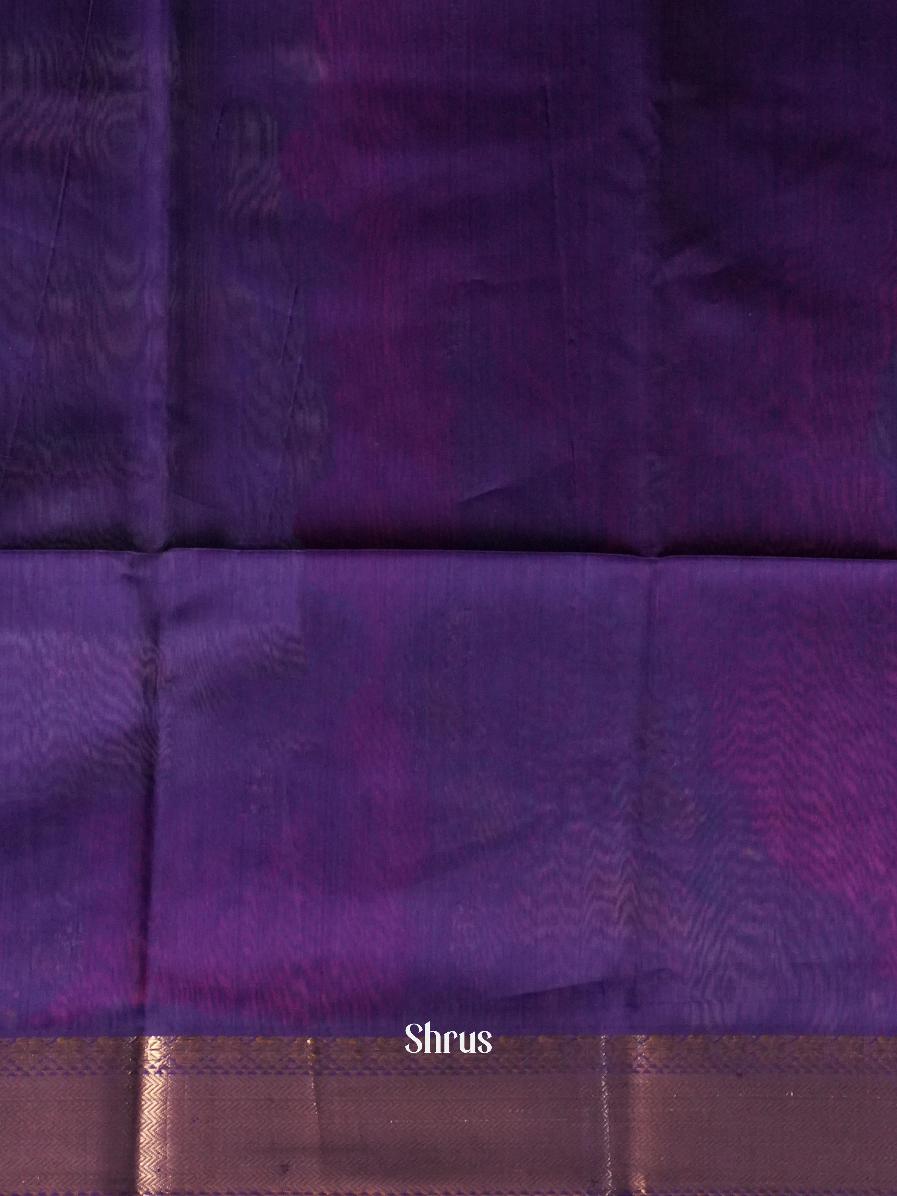 Blue & Purple  - Maheshwari silkcotton Saree