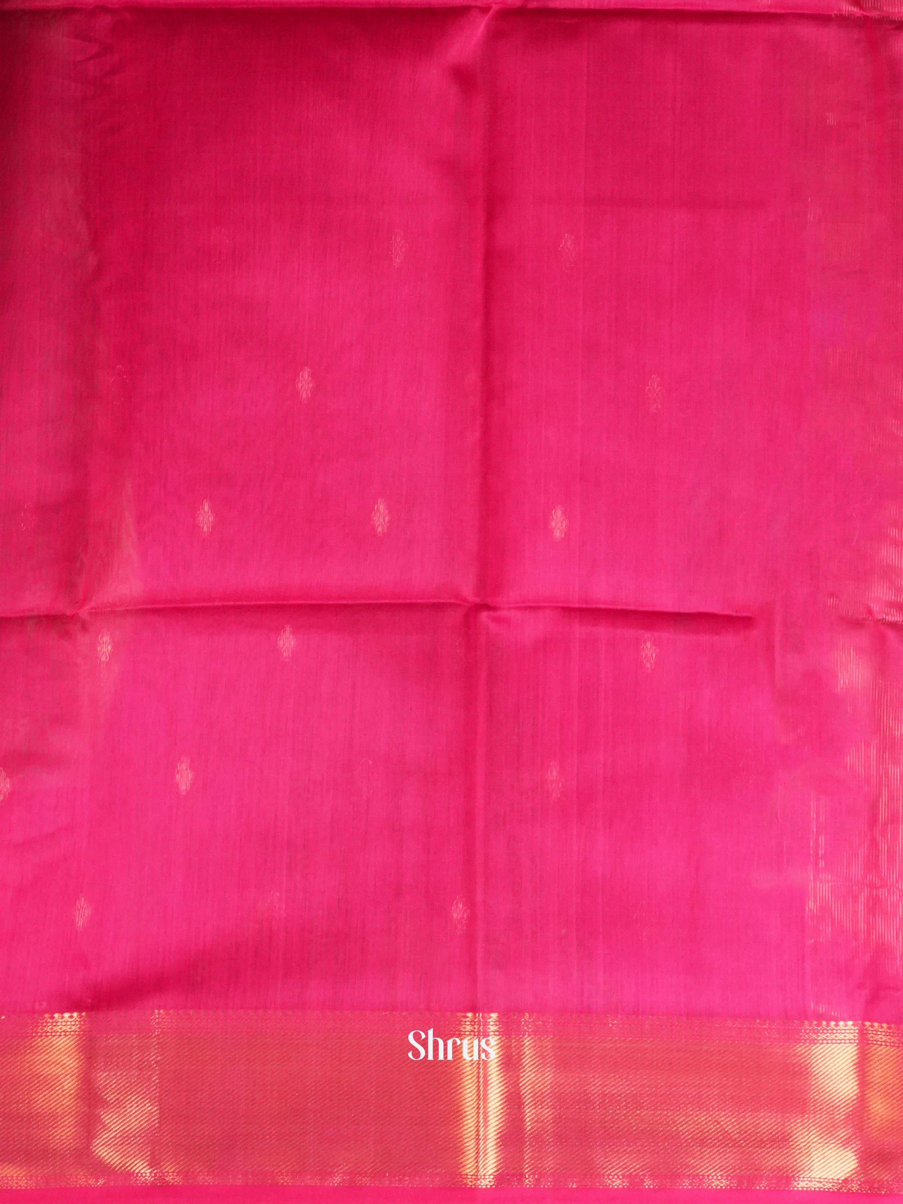 Rosy Red  - Maheshwari silkcotton Saree