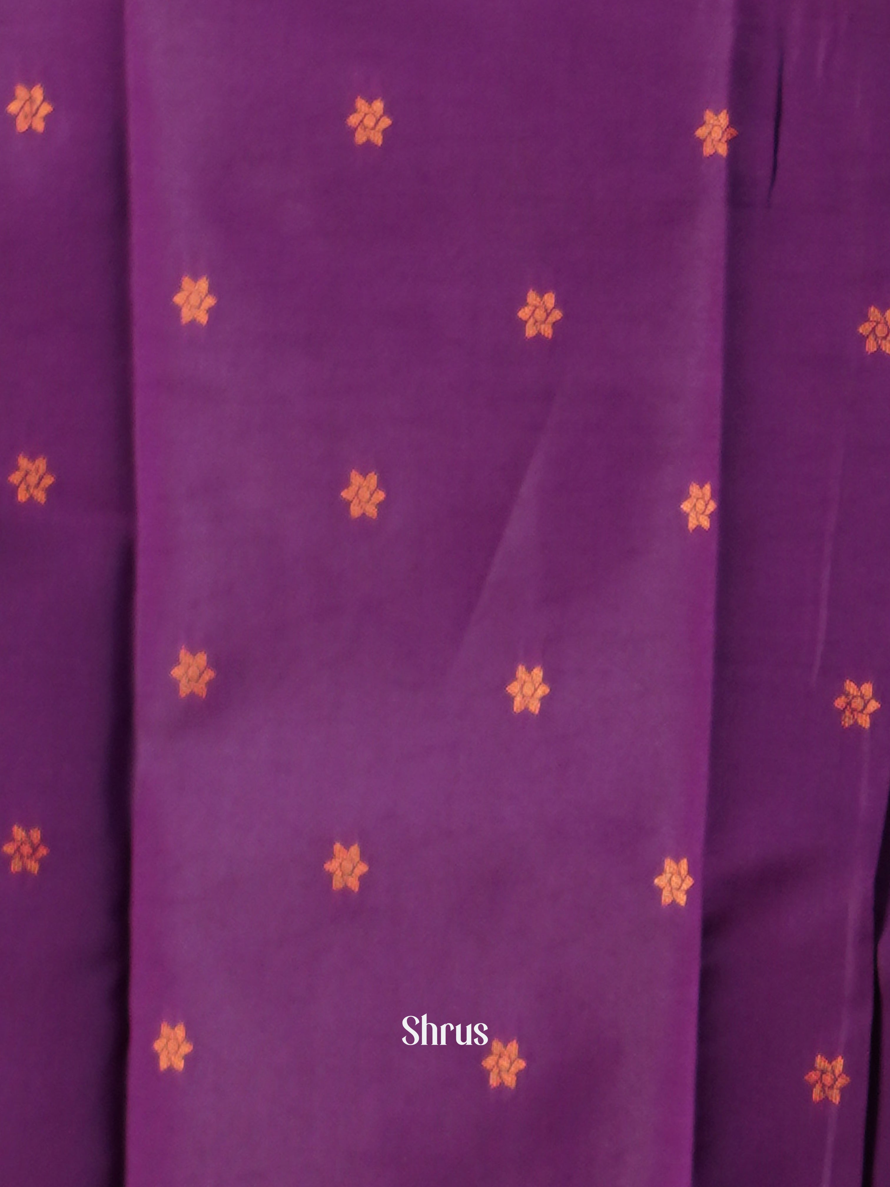 Blue & Purple - Semi Arani Silk Saree