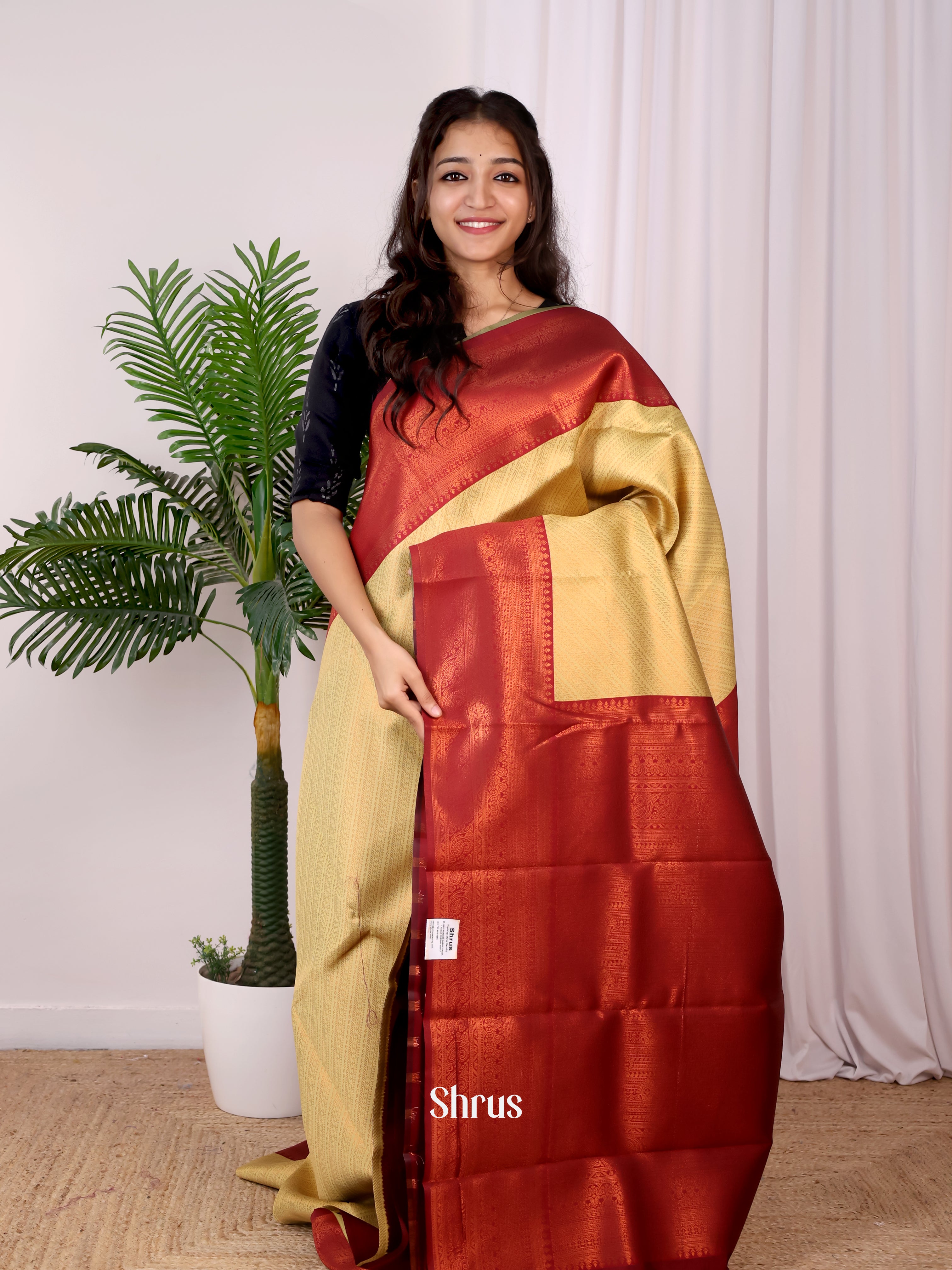 Beige & Maroon - Semi Arani Silk Saree