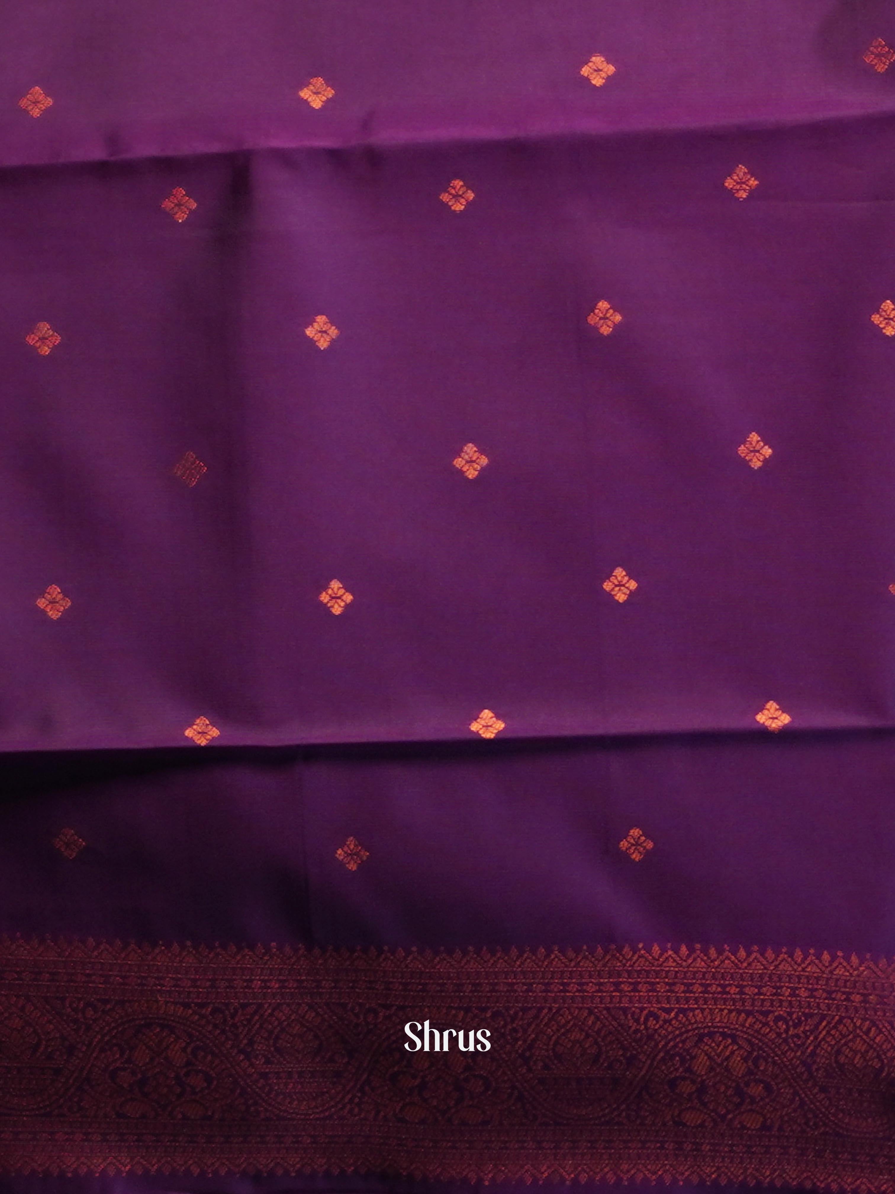 Blue & Purple - Semi Arani Silk Saree