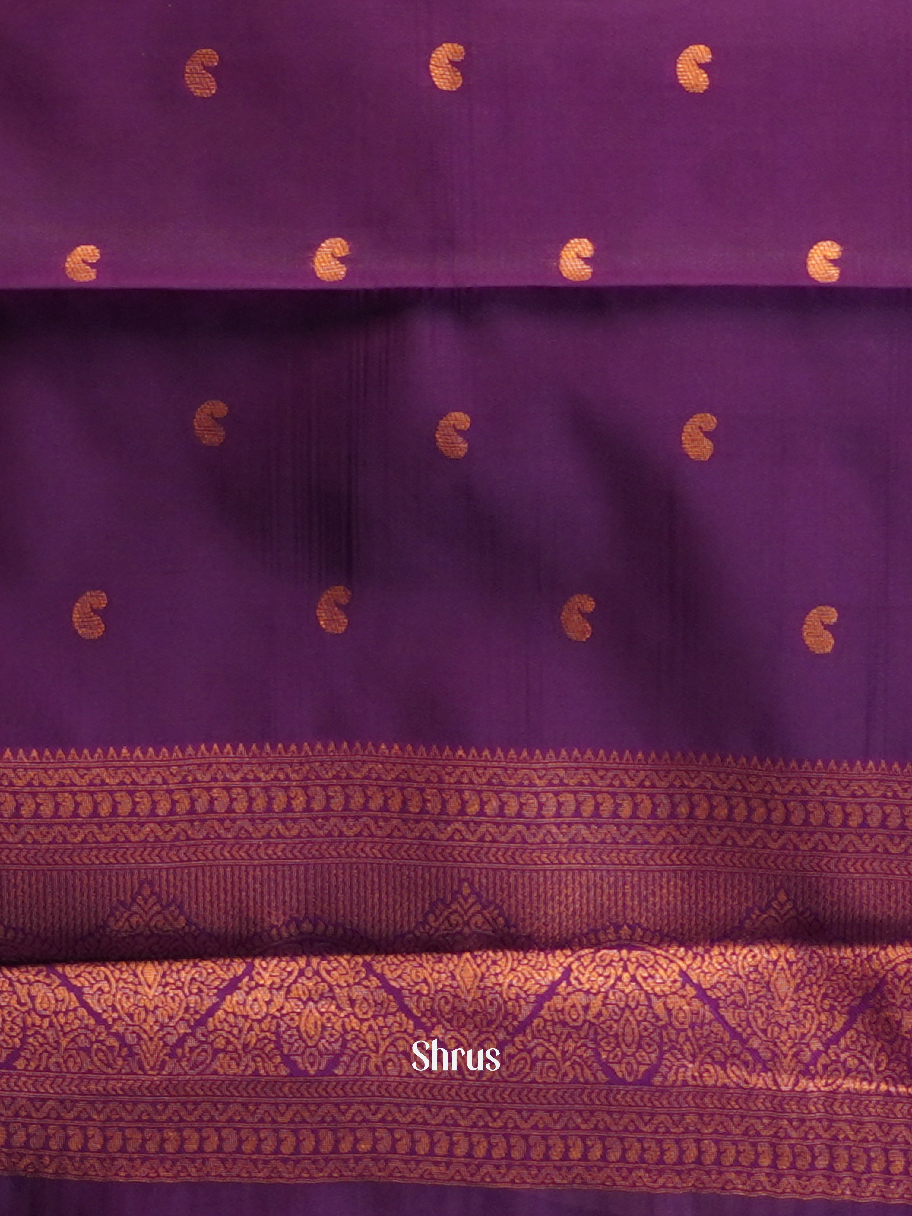 Blue & Purple - Semi Arani Silk Saree