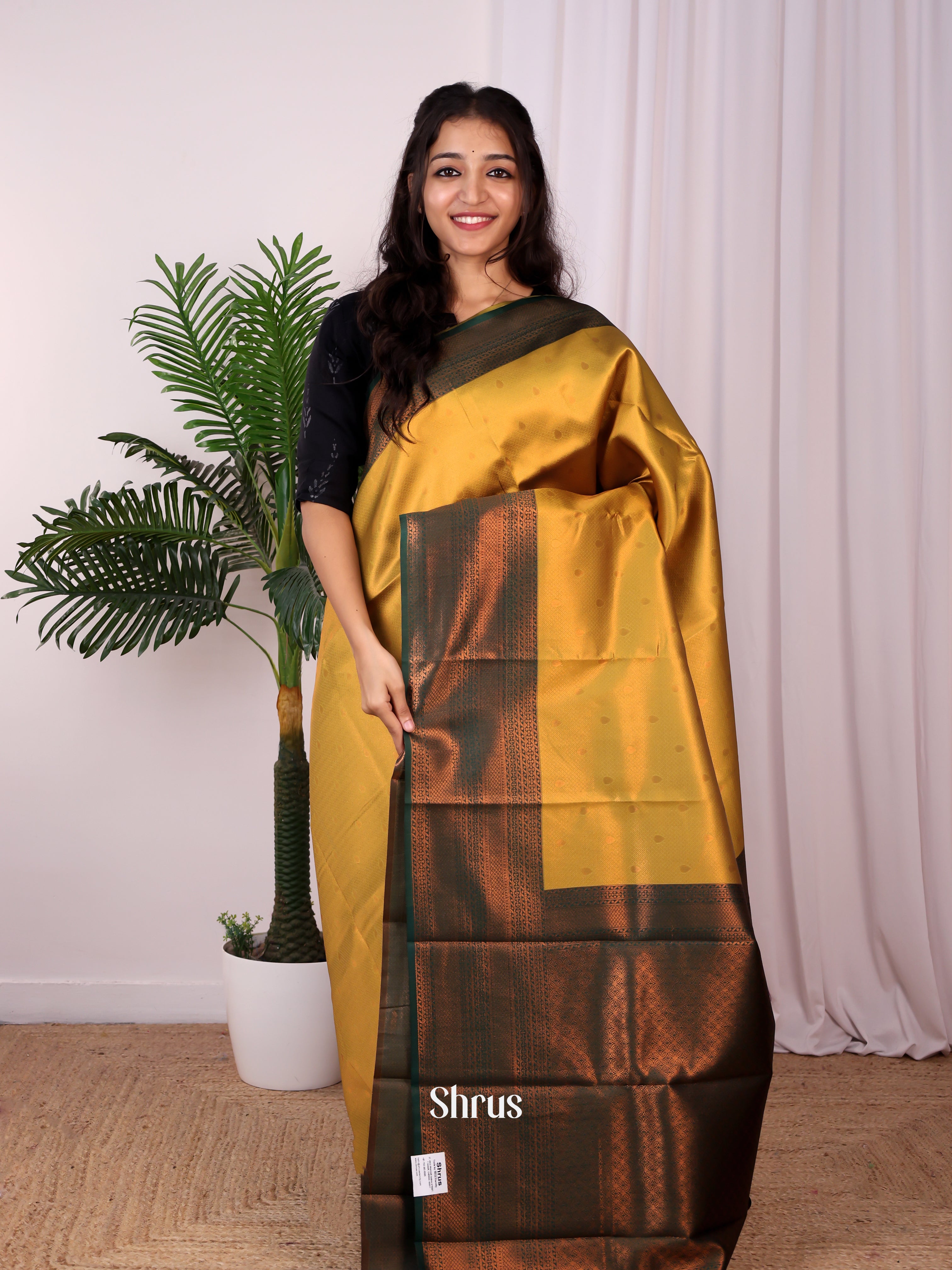 CIS05556 - Semi Arani Silk Saree - Shop on ShrusEternity.com