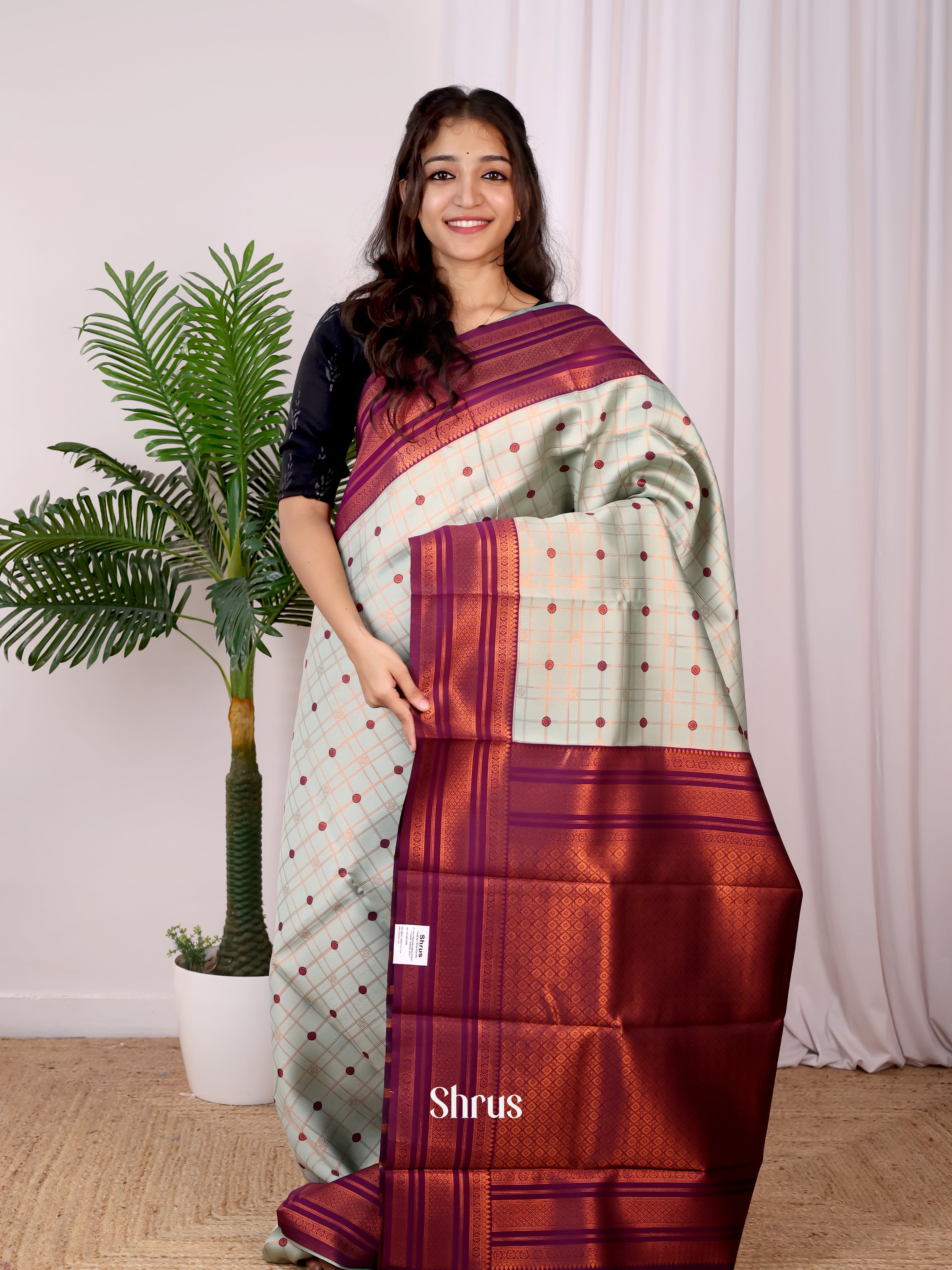 Lite Blue & Purple - Semi Arani Silk Saree