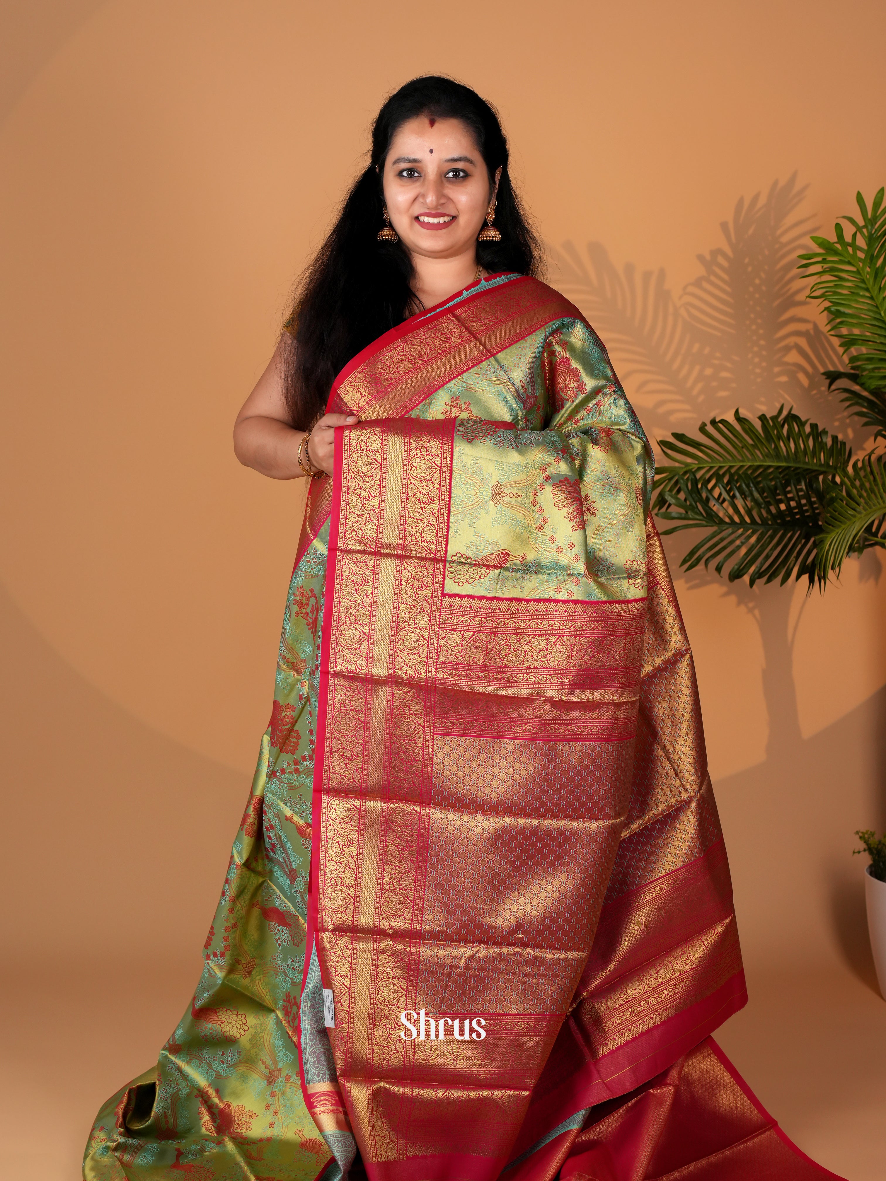 CIS06324 - Kanchipuram-halfpure Saree