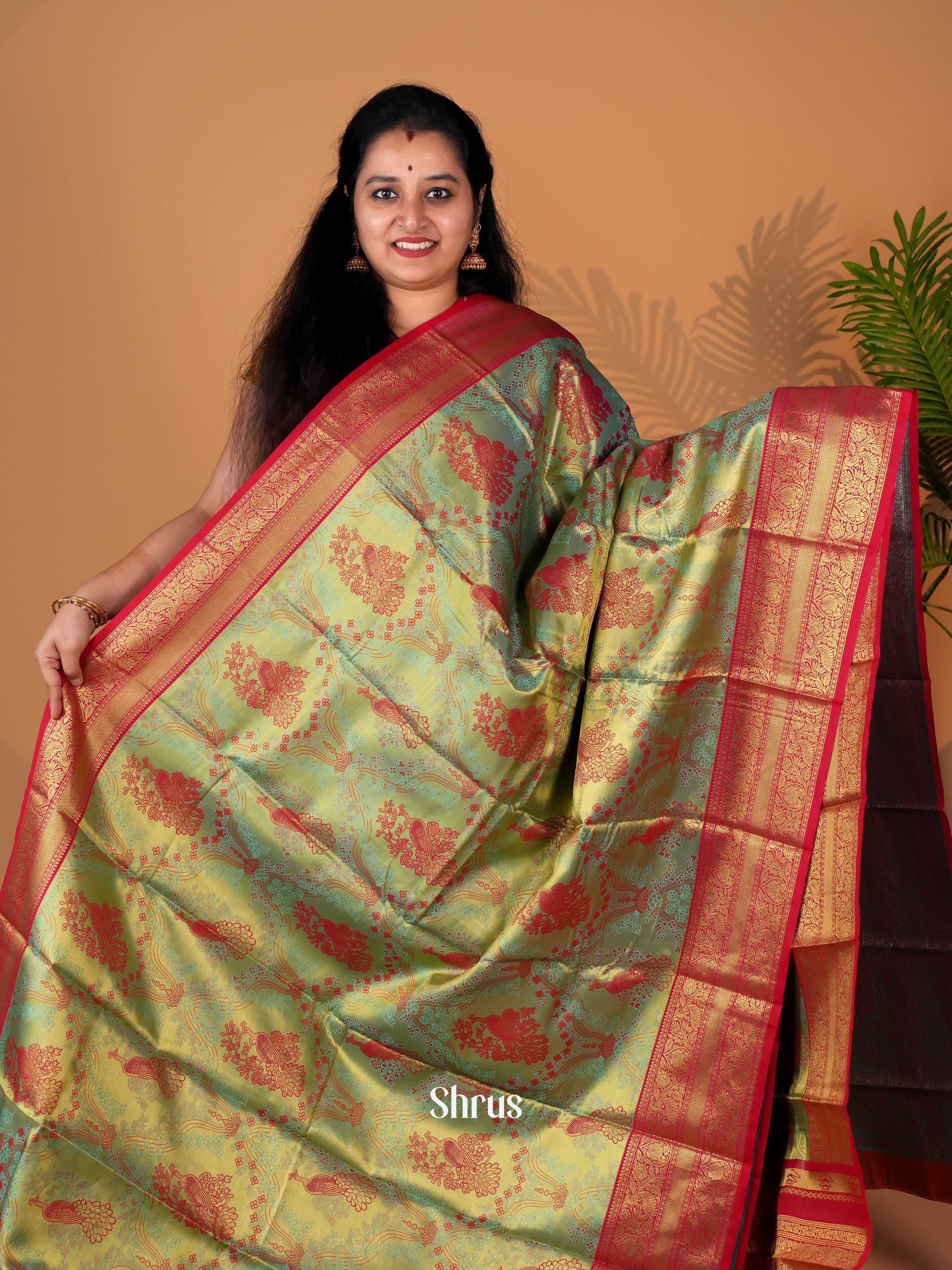 CIS06324 - Kanchipuram-halfpure Saree