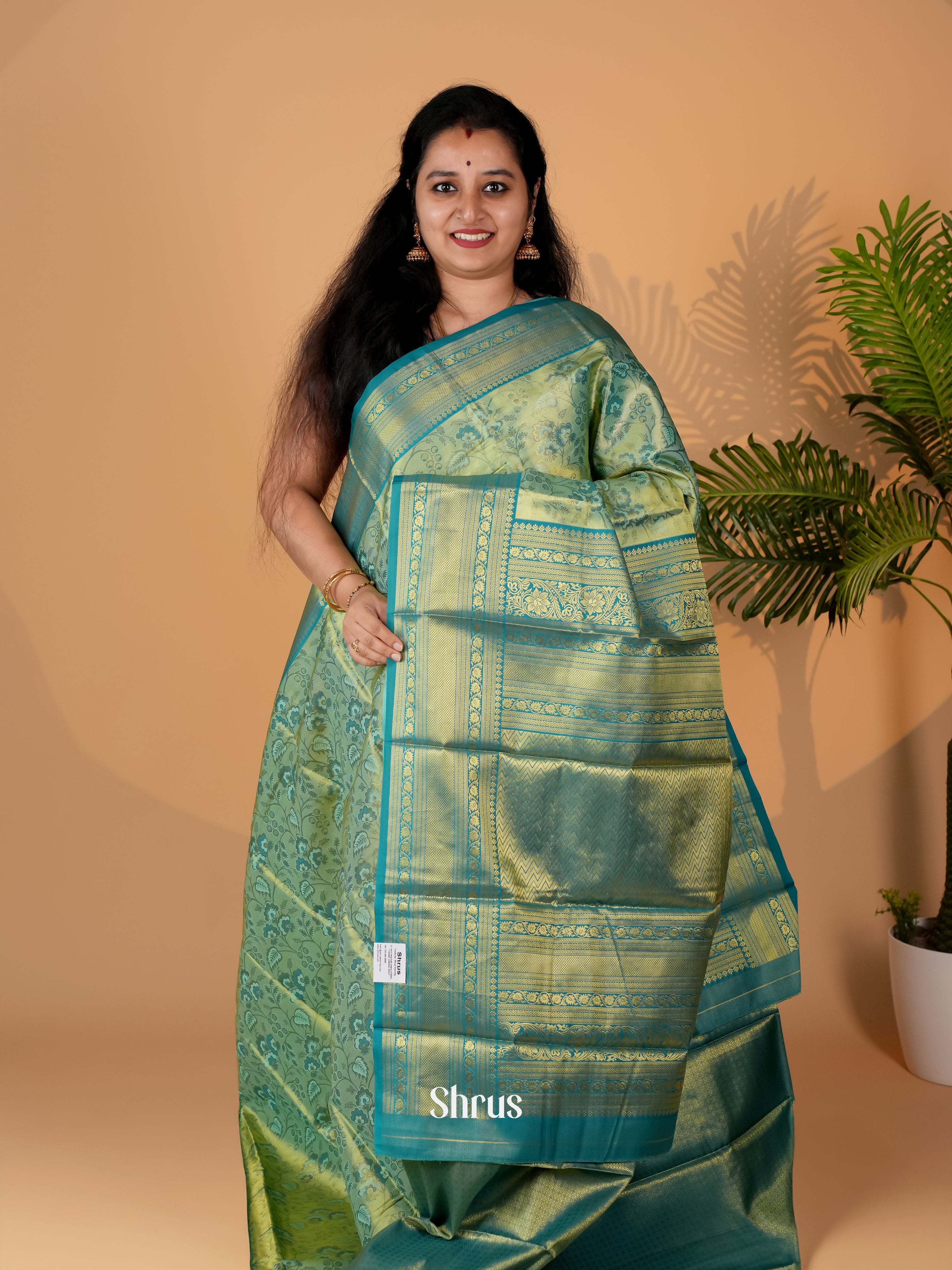 CIS06329 - Kanchipuram-halfpure Saree