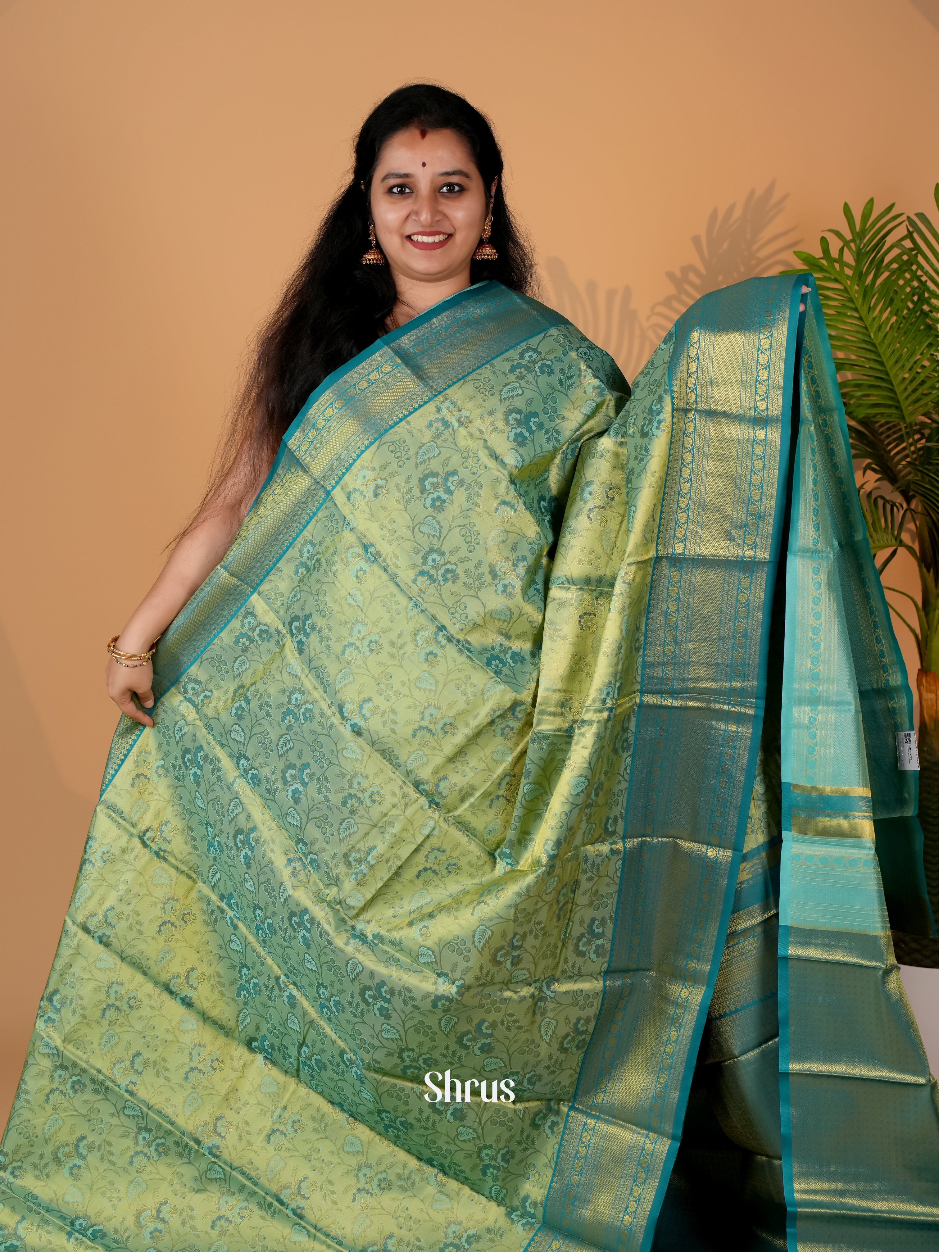 CIS06329 - Kanchipuram-halfpure Saree