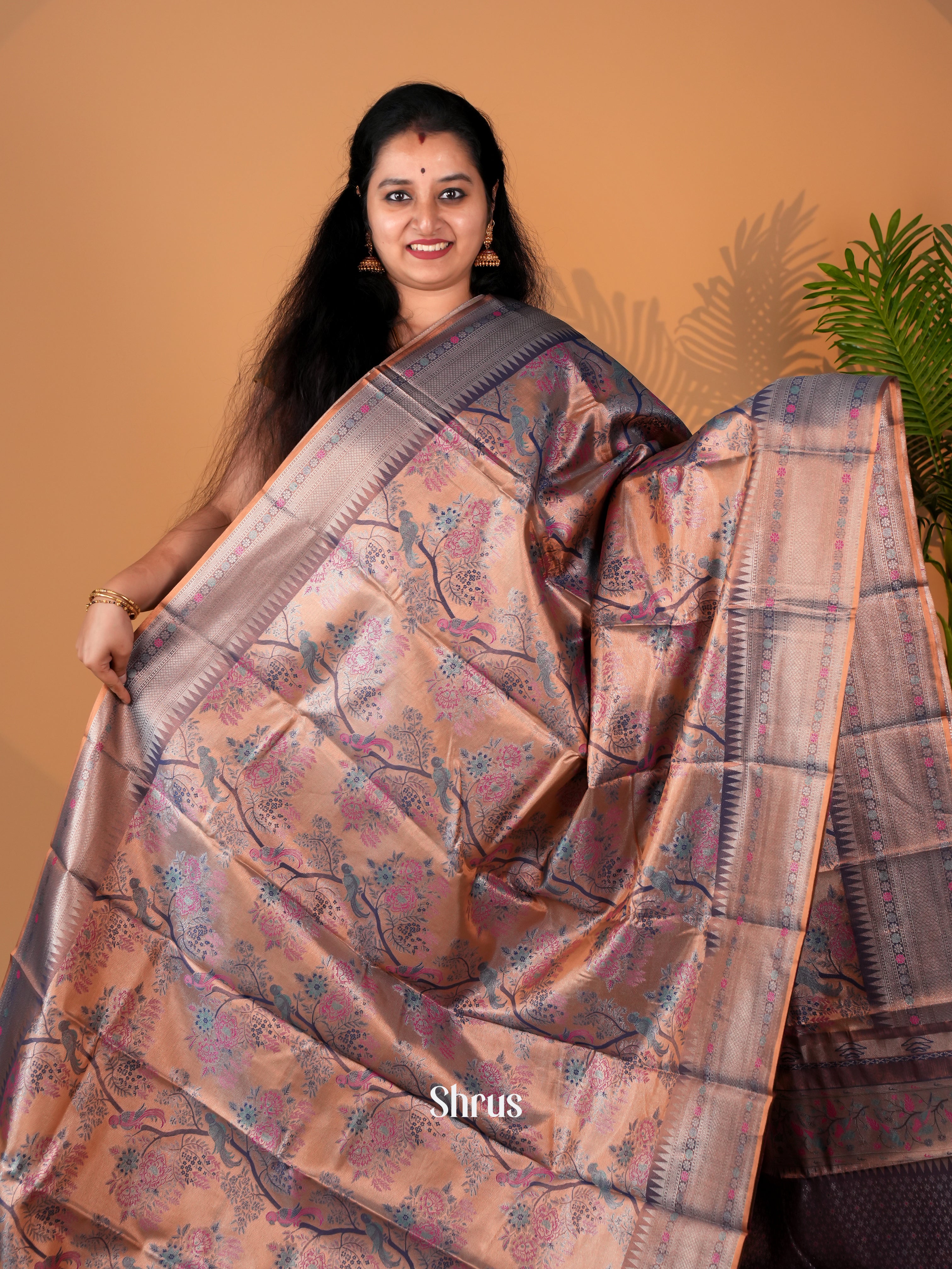 Brown - Kanchipuram-halfpure Saree