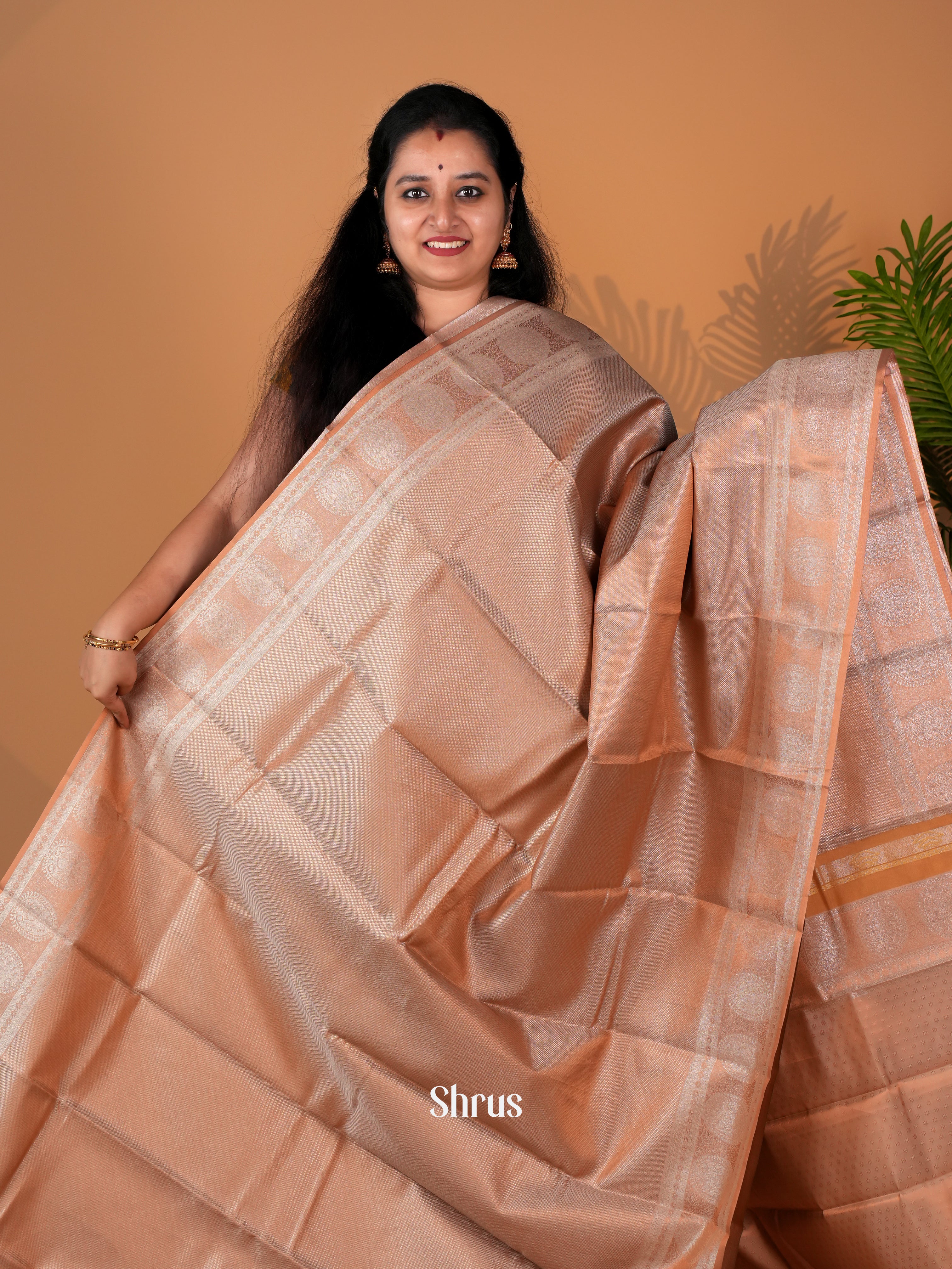 CIS06365 - Kanchipuram-halfpure Saree