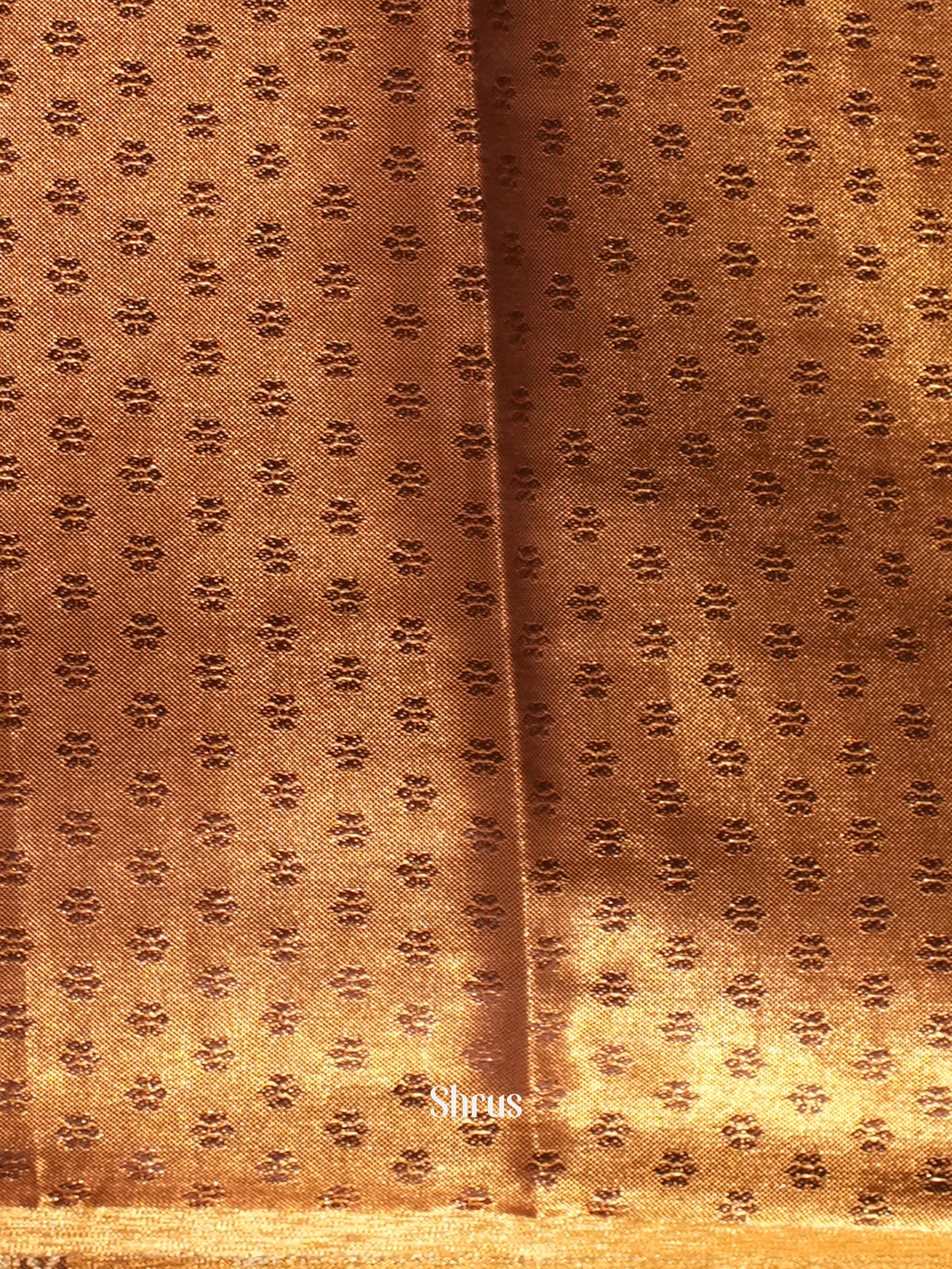 Brown- Kanchipuram-halfpure Saree