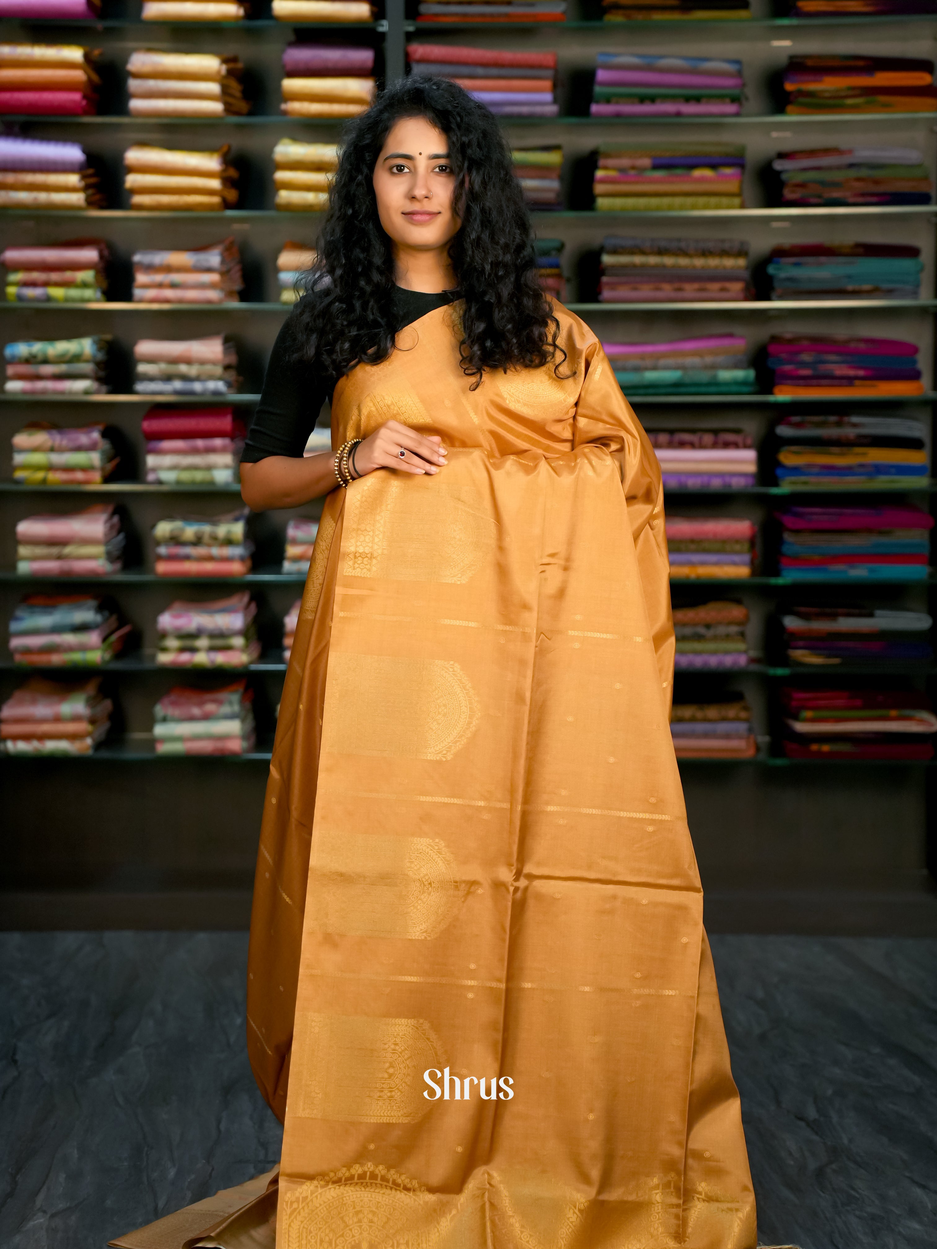 Sandal &  Blue - Semi Tussar Saree