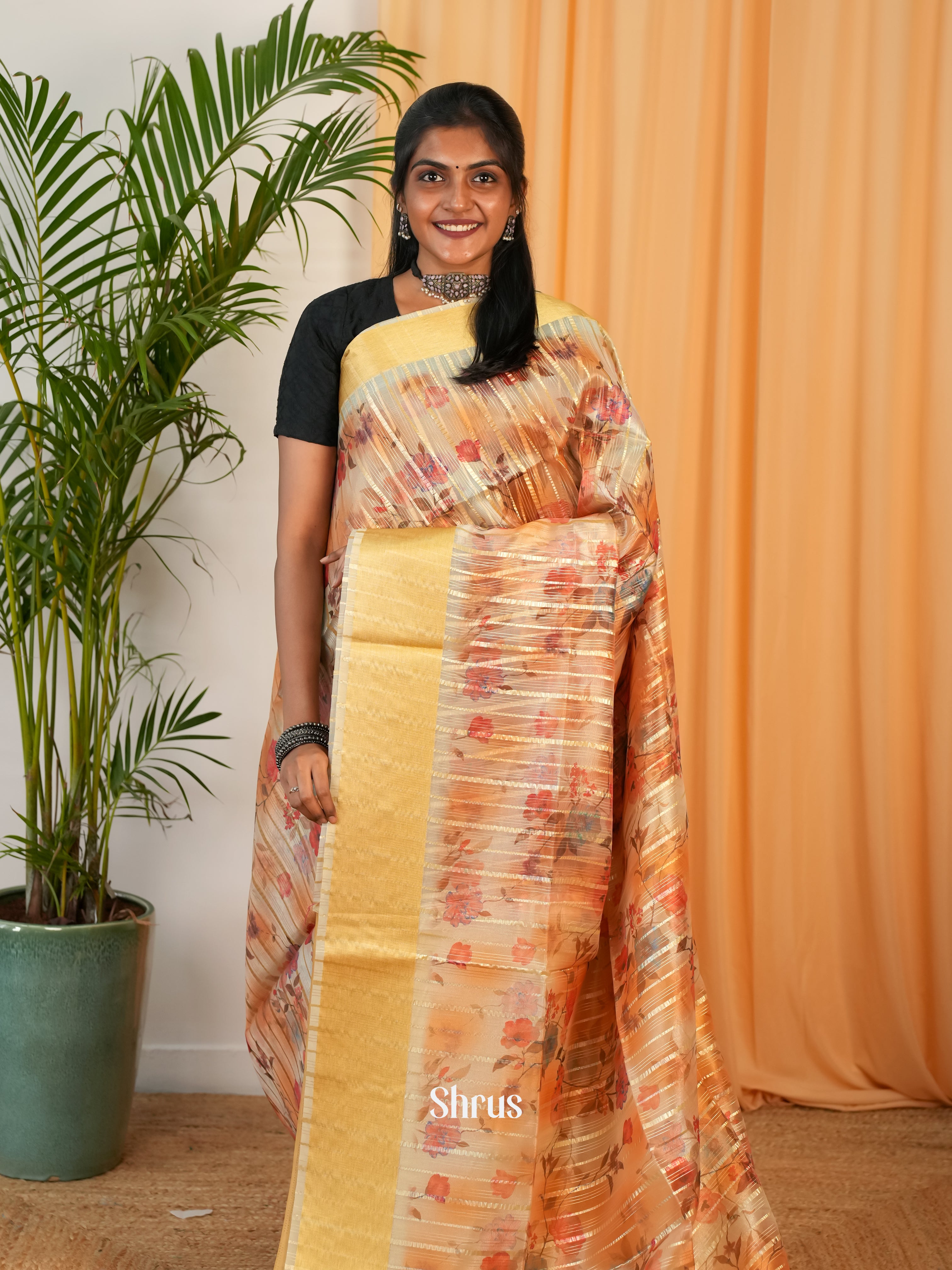 Sandal  - Semi Organza Saree