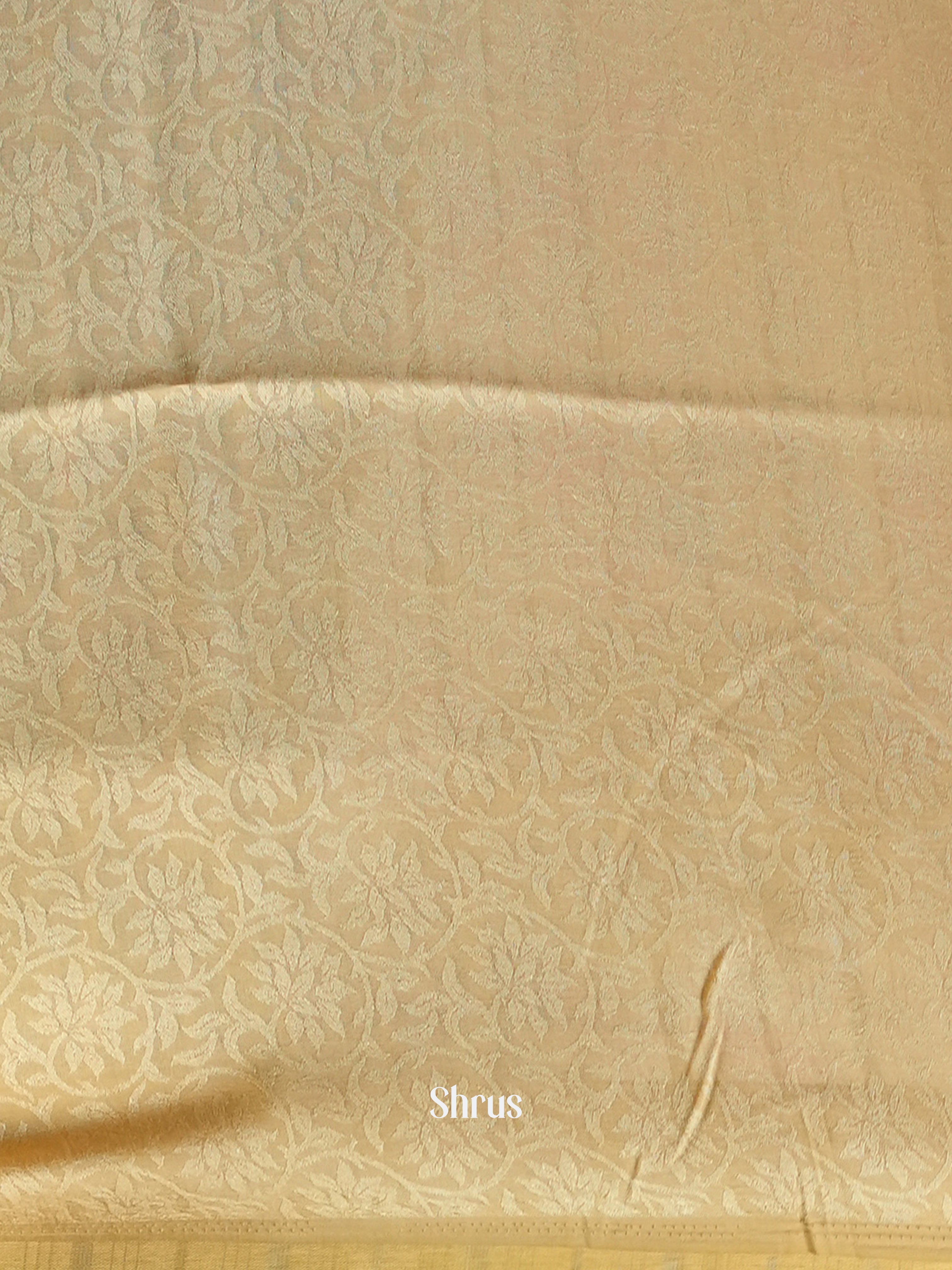 Cream  - Semi Organza Saree