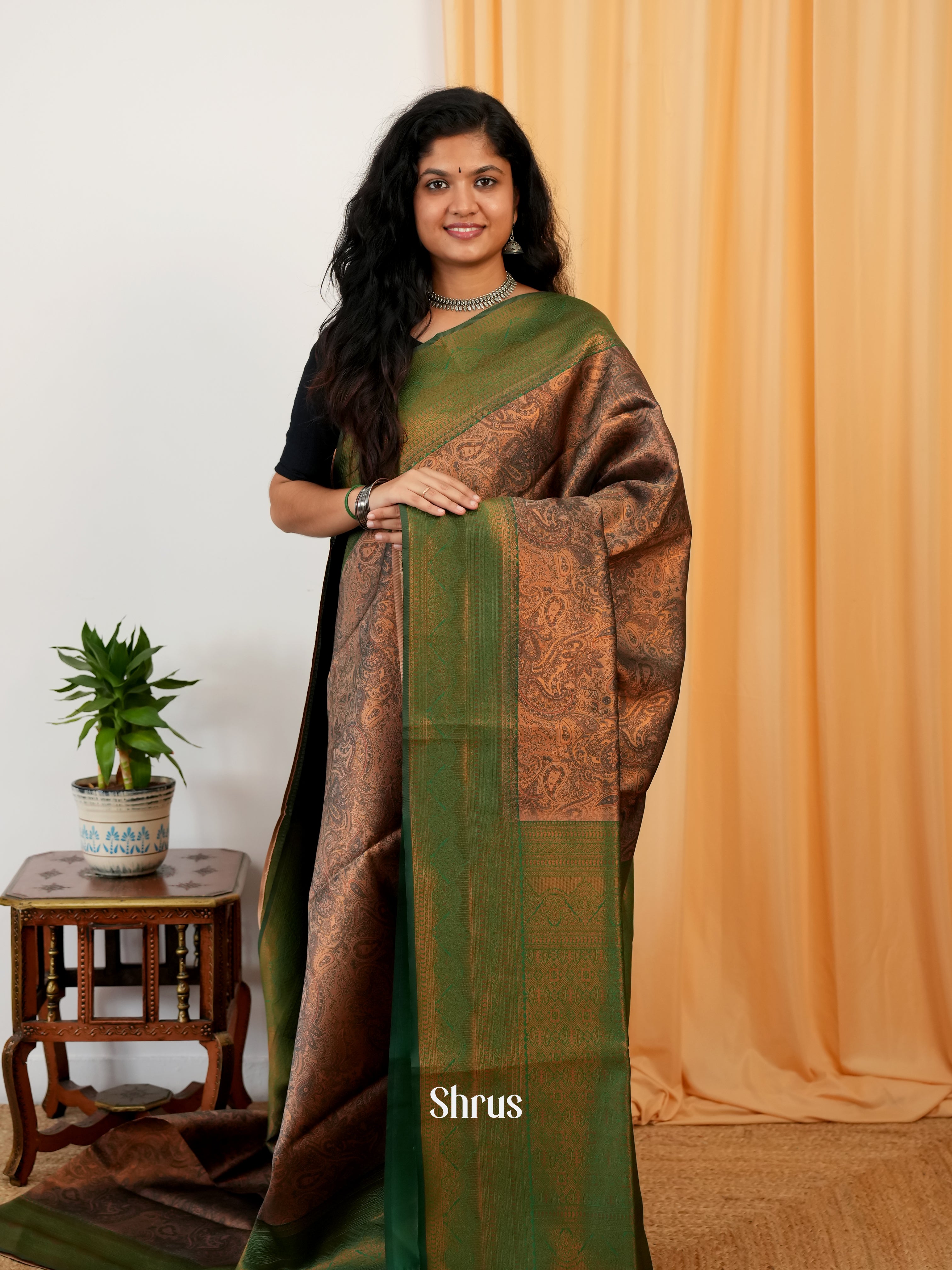 Brown & Green - Semi Organza Saree