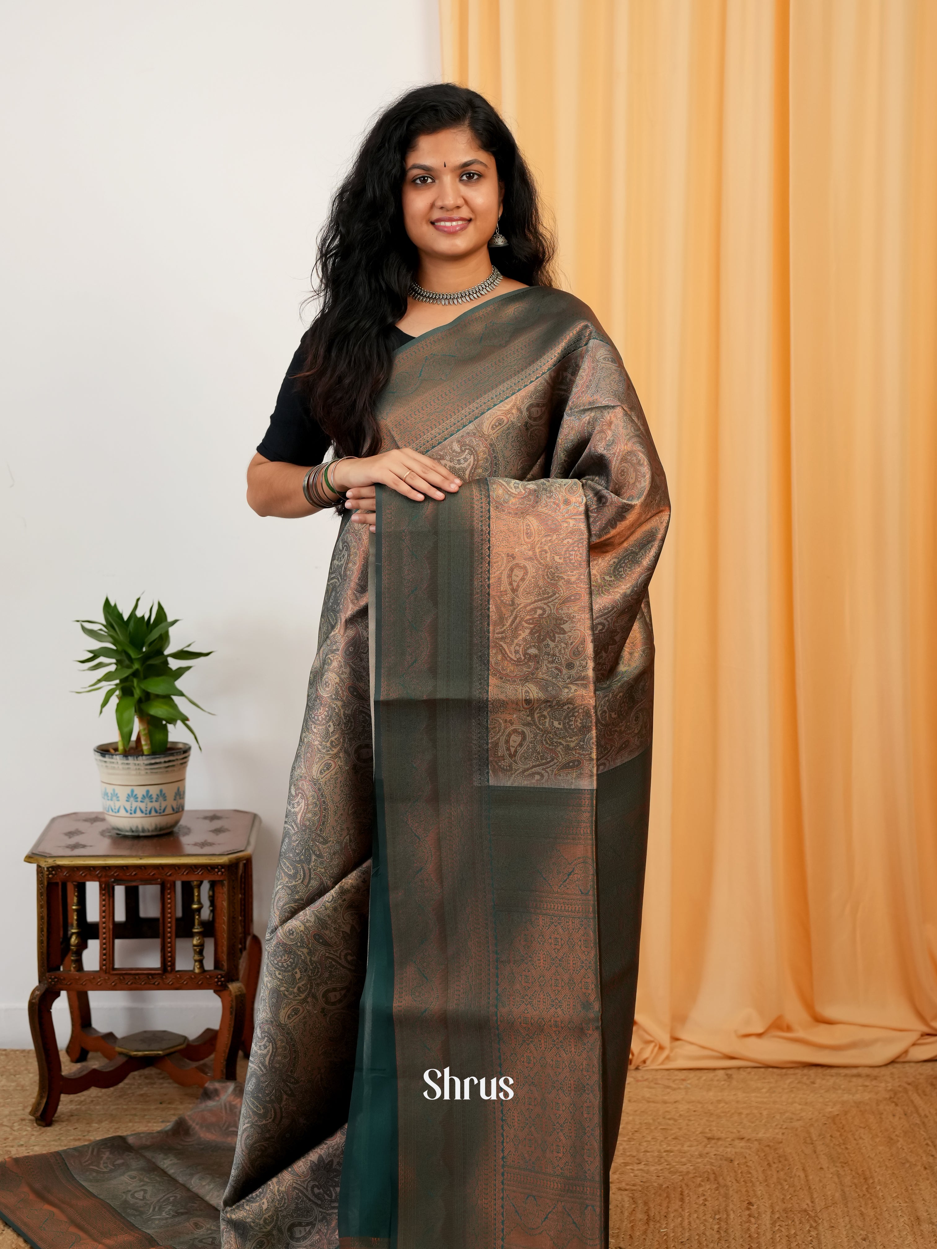 Brown & Green -  Semi Organza Saree