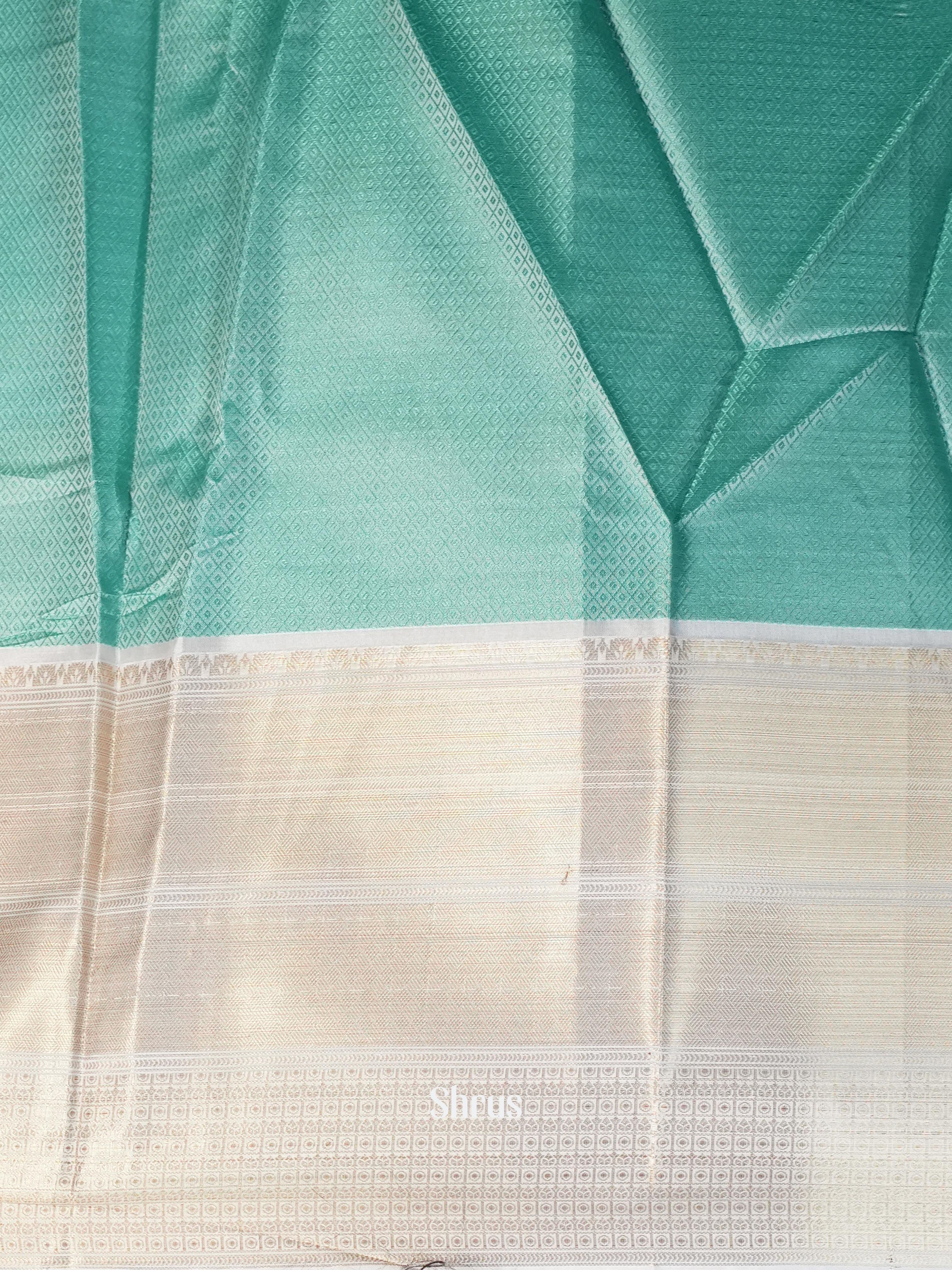 CIS09417 - Tanchoi Saree