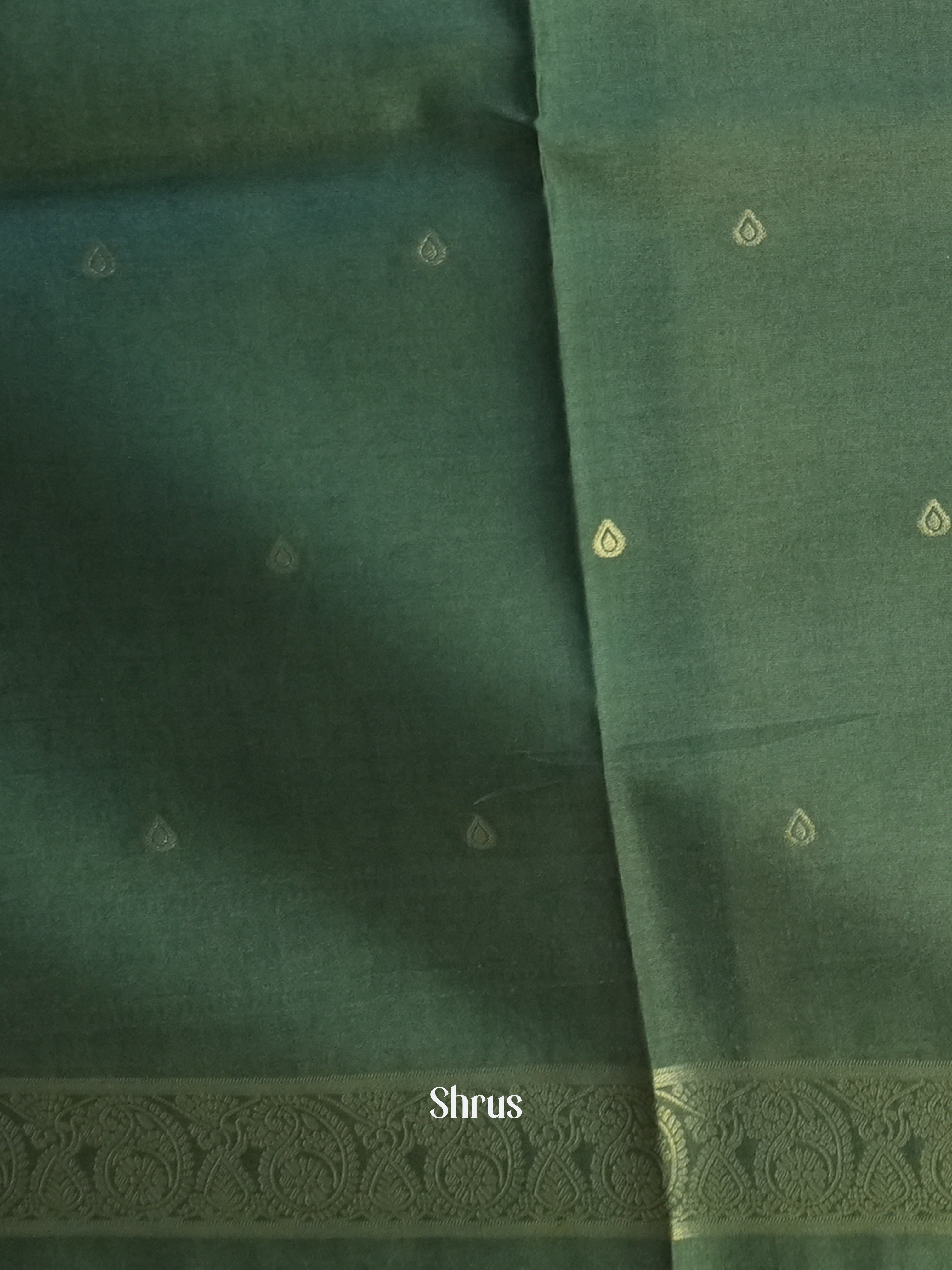 Pista Green &  Green - Semi Tussar Saree