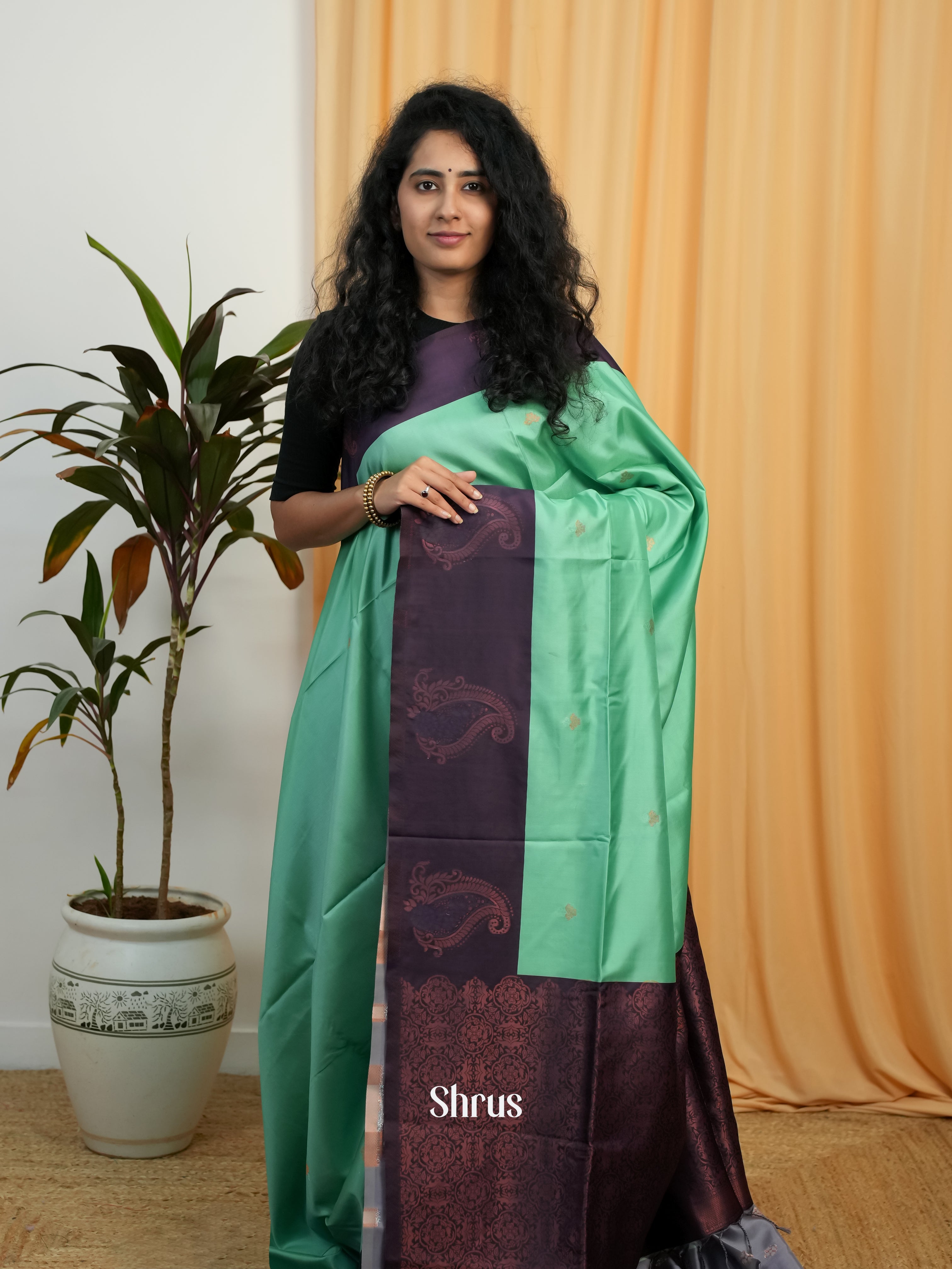 Pista Green &  Purple - Semi Softsilk Saree