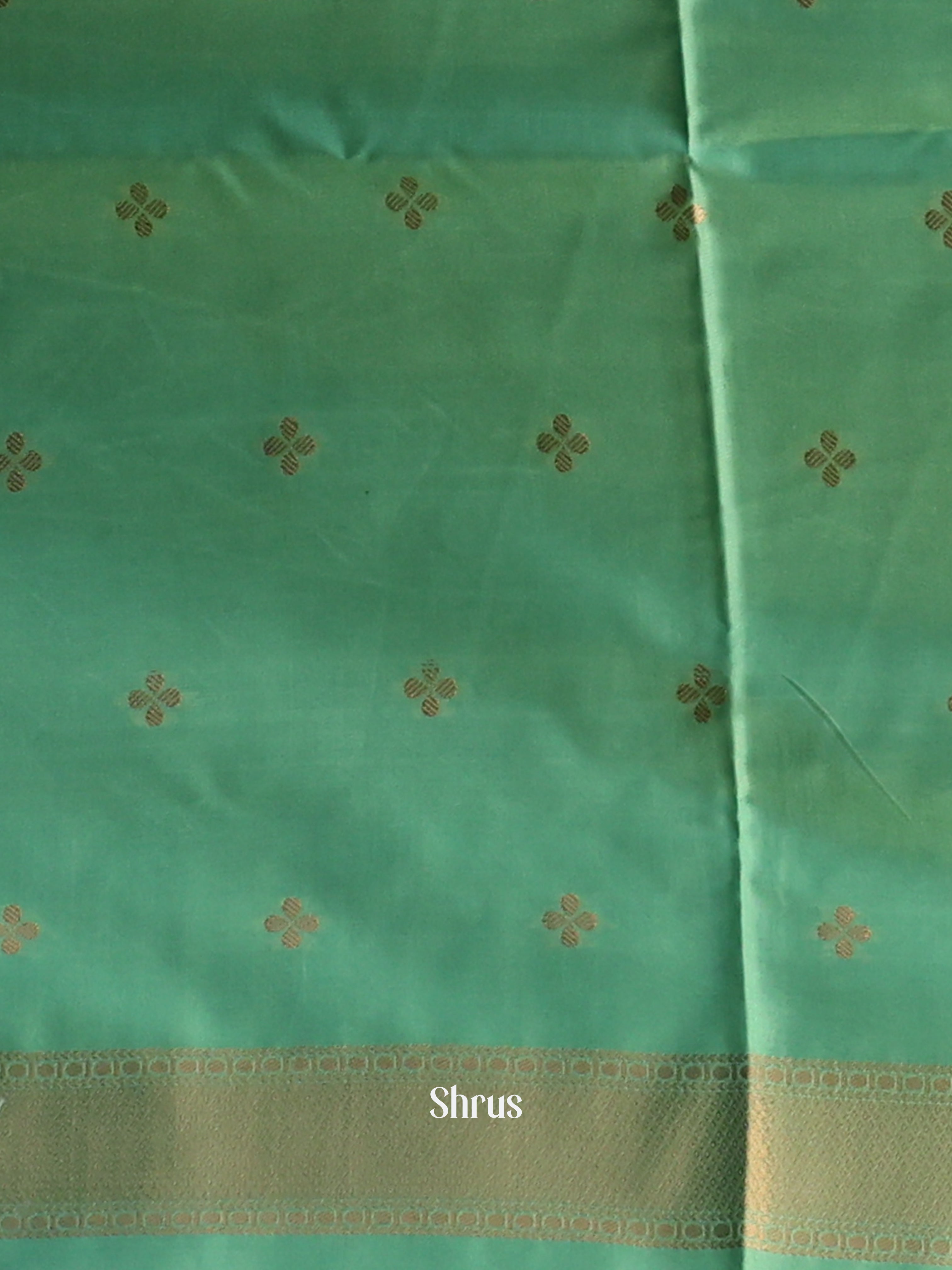 Grey & green - Semi Softsilk Saree