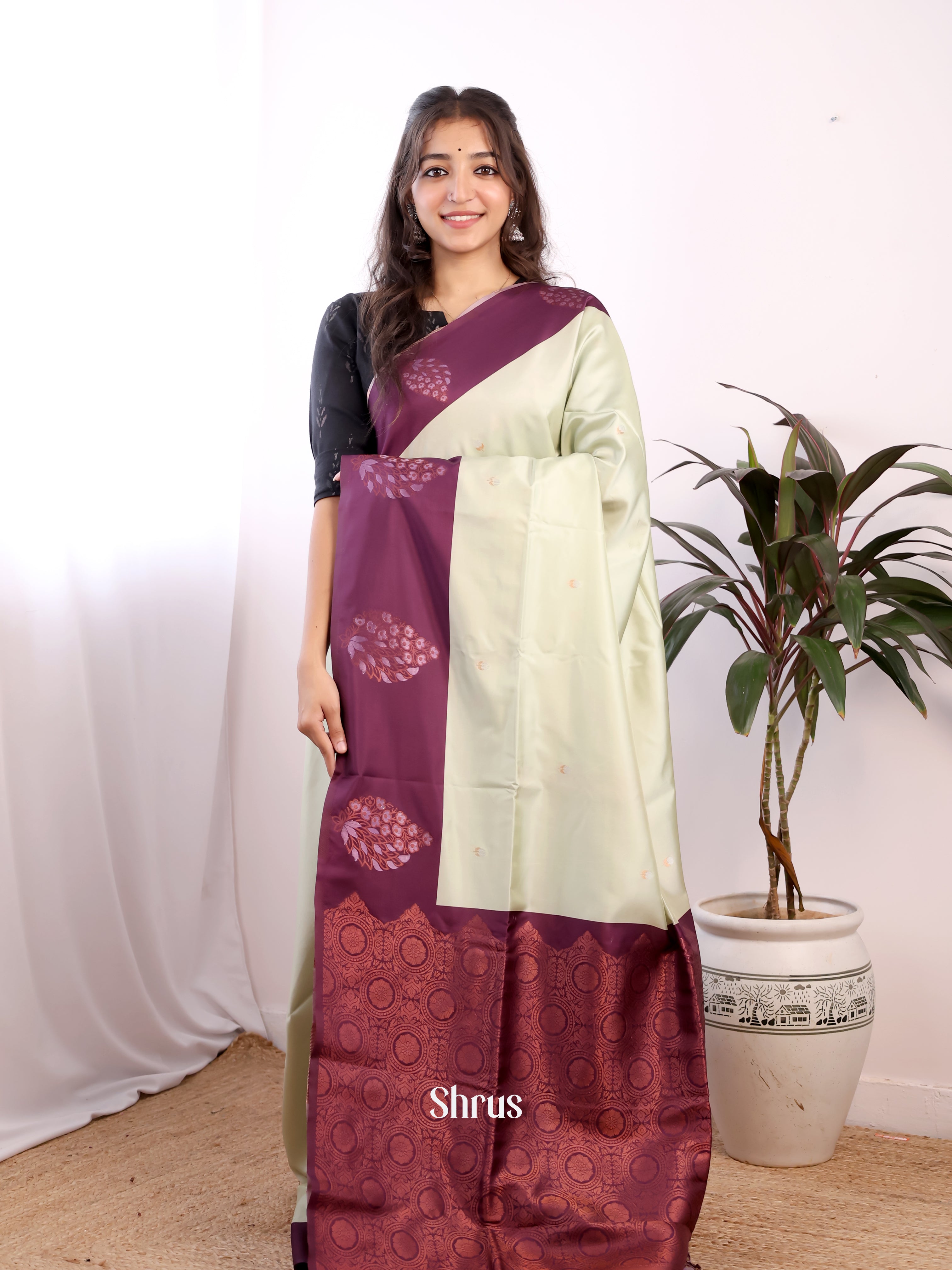 Pastel Green & Purple - Semi Softsilk Saree