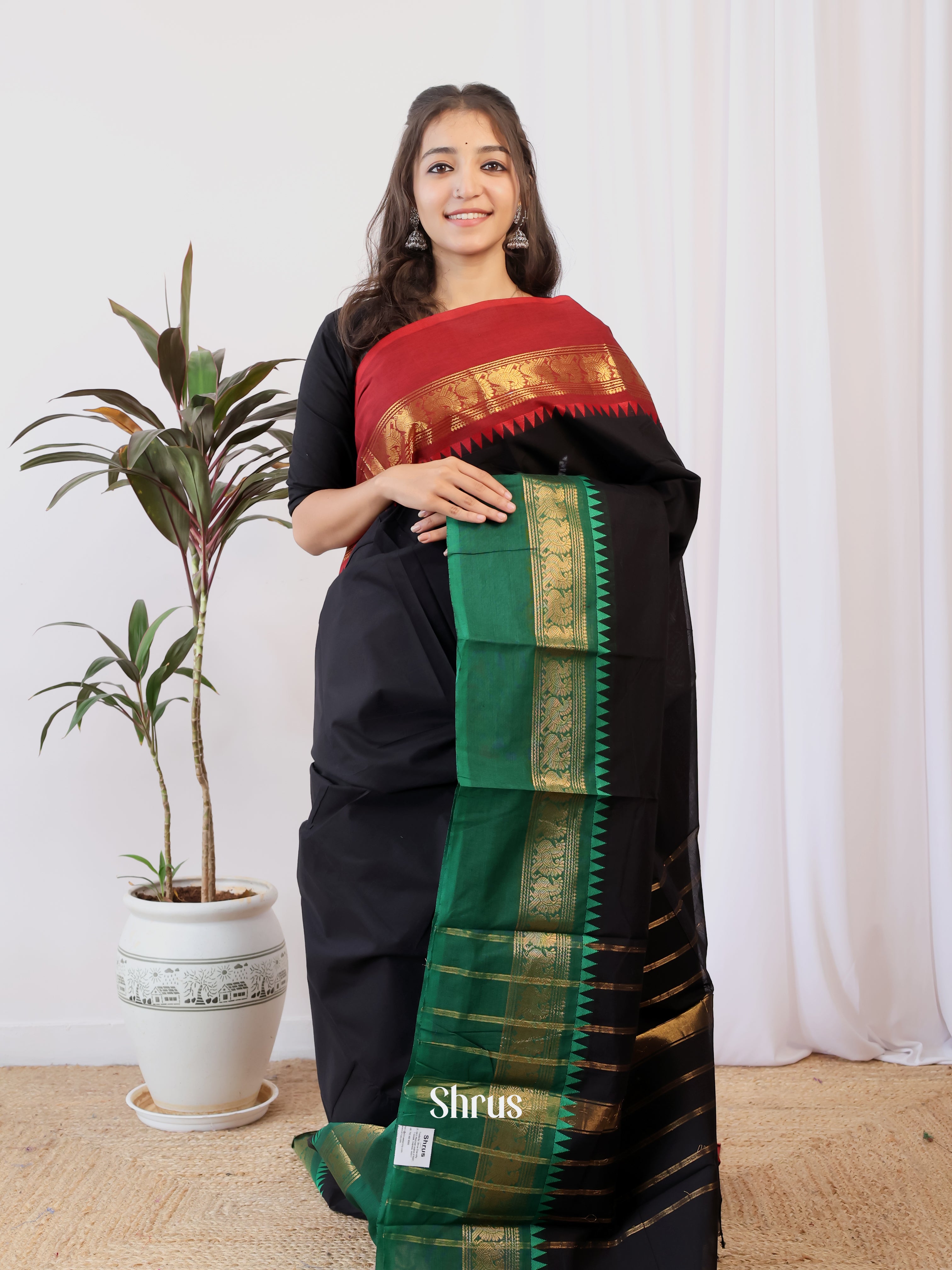 Black & Green- Chettinad Cotton Saree